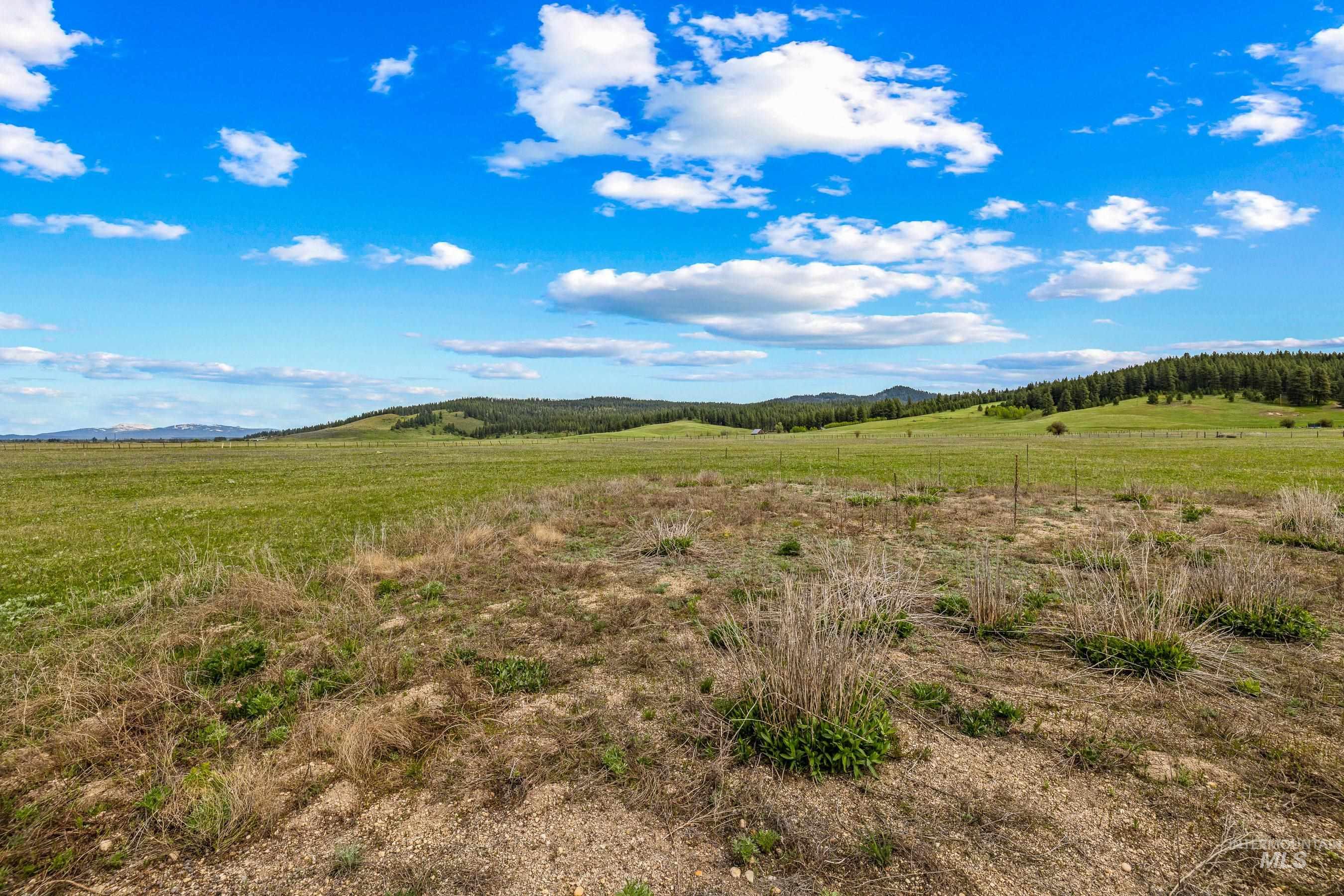 15 Ringo Lane, Donnelly, Idaho 83615, Land For Sale, Price $379,999, 98947483