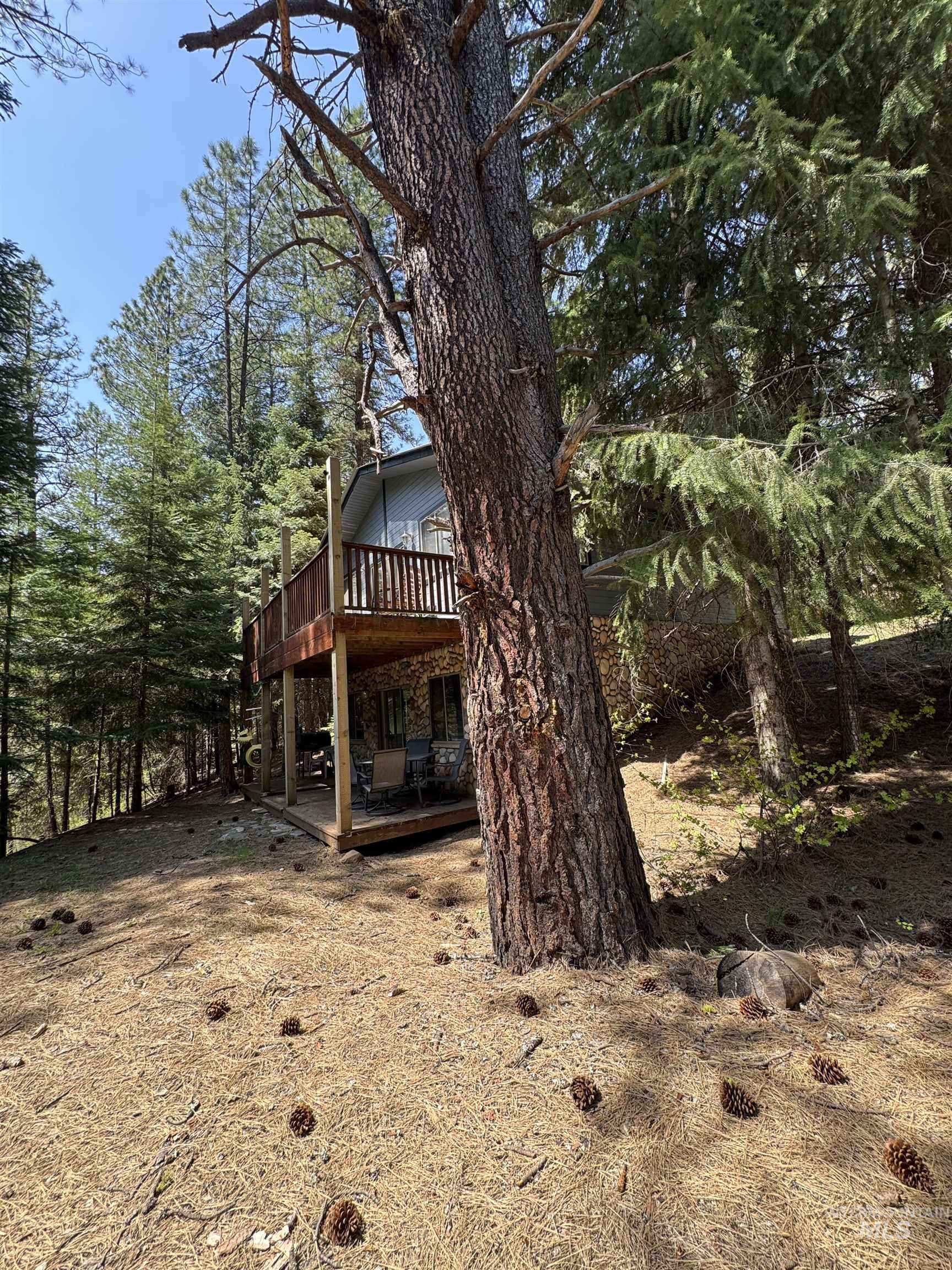 2857 Hillman Basin Rd, Pollock, Idaho 83547, 3 Bedrooms, 2 Bathrooms, Residential For Sale, Price $749,900, 98947529