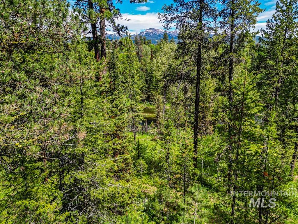 Lot 2 Comfort Ct., McCall, Idaho 83638, Land For Sale, Price $479,000, 98947533