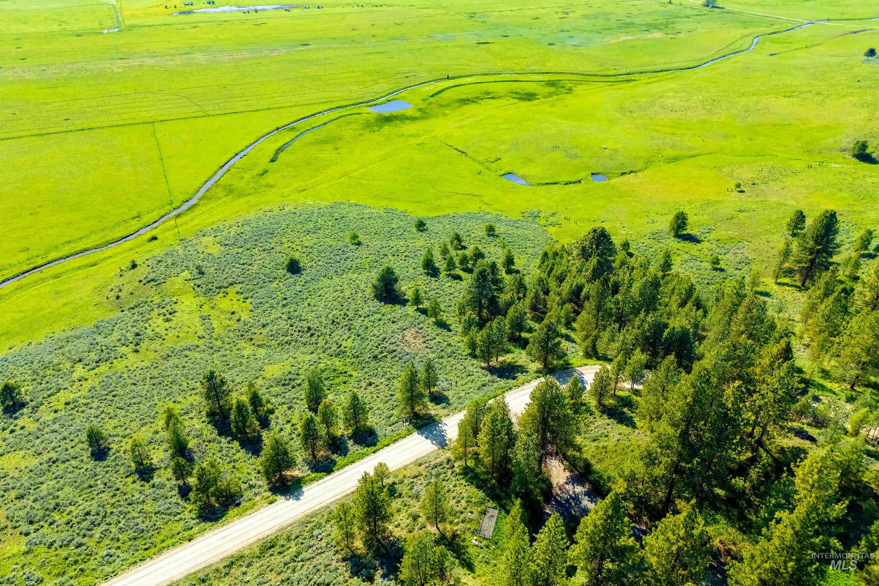 TBD Finlandia, McCall, Idaho 83638, Land For Sale, Price $325,000, 98947563