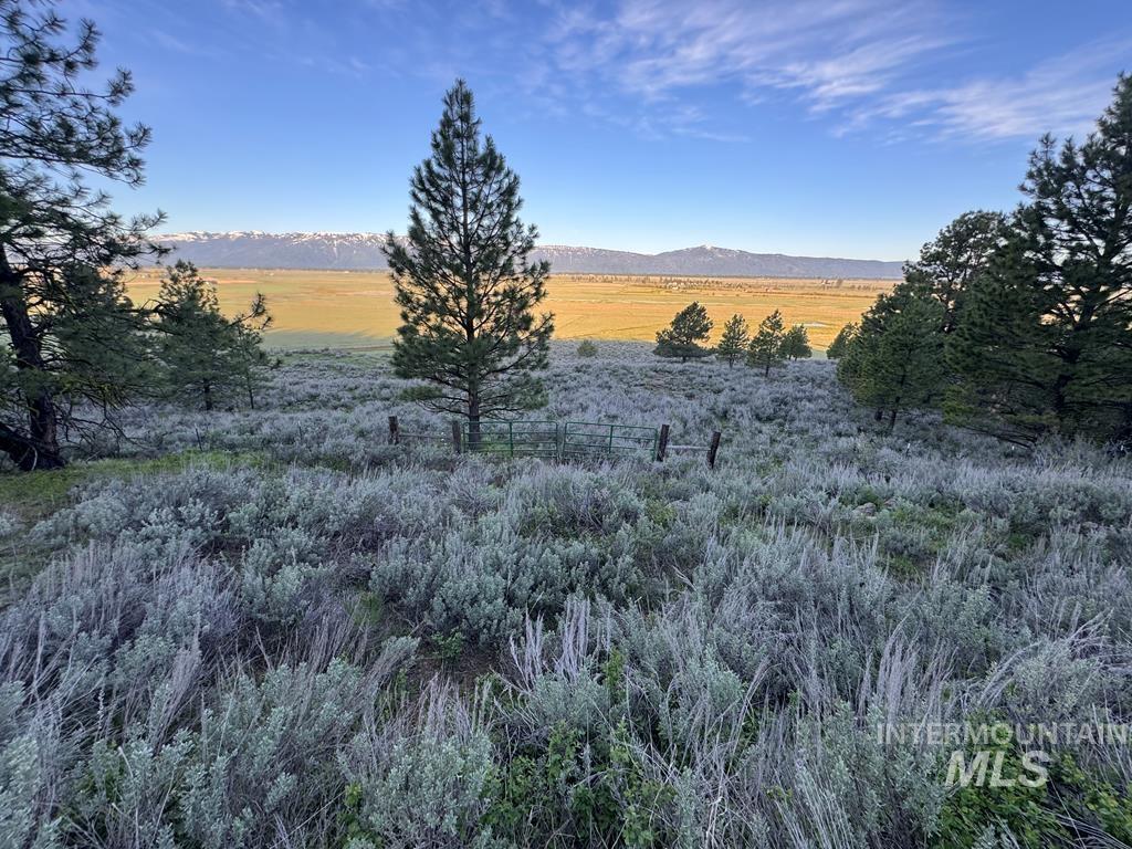TBD Finlandia, McCall, Idaho 83638, Land For Sale, Price $325,000, 98947563