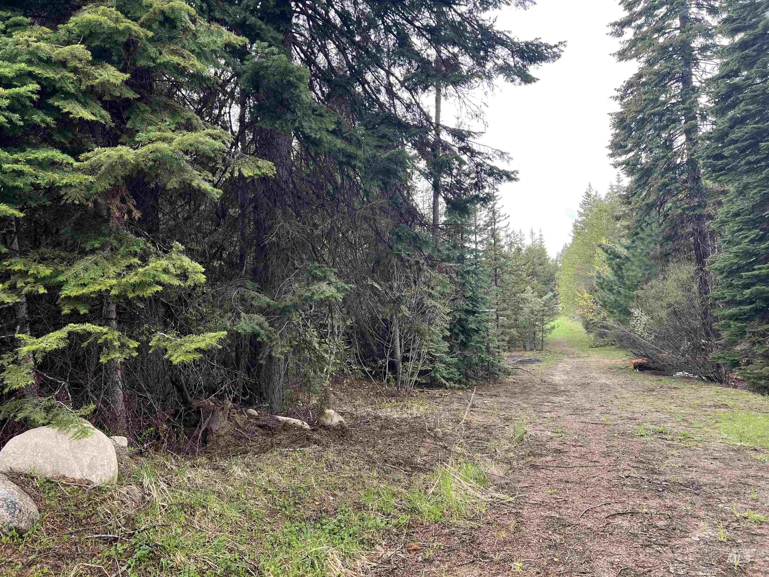 TBD Boydstun St, McCall, Idaho 83638, Land For Sale, Price $199,000, 98947564
