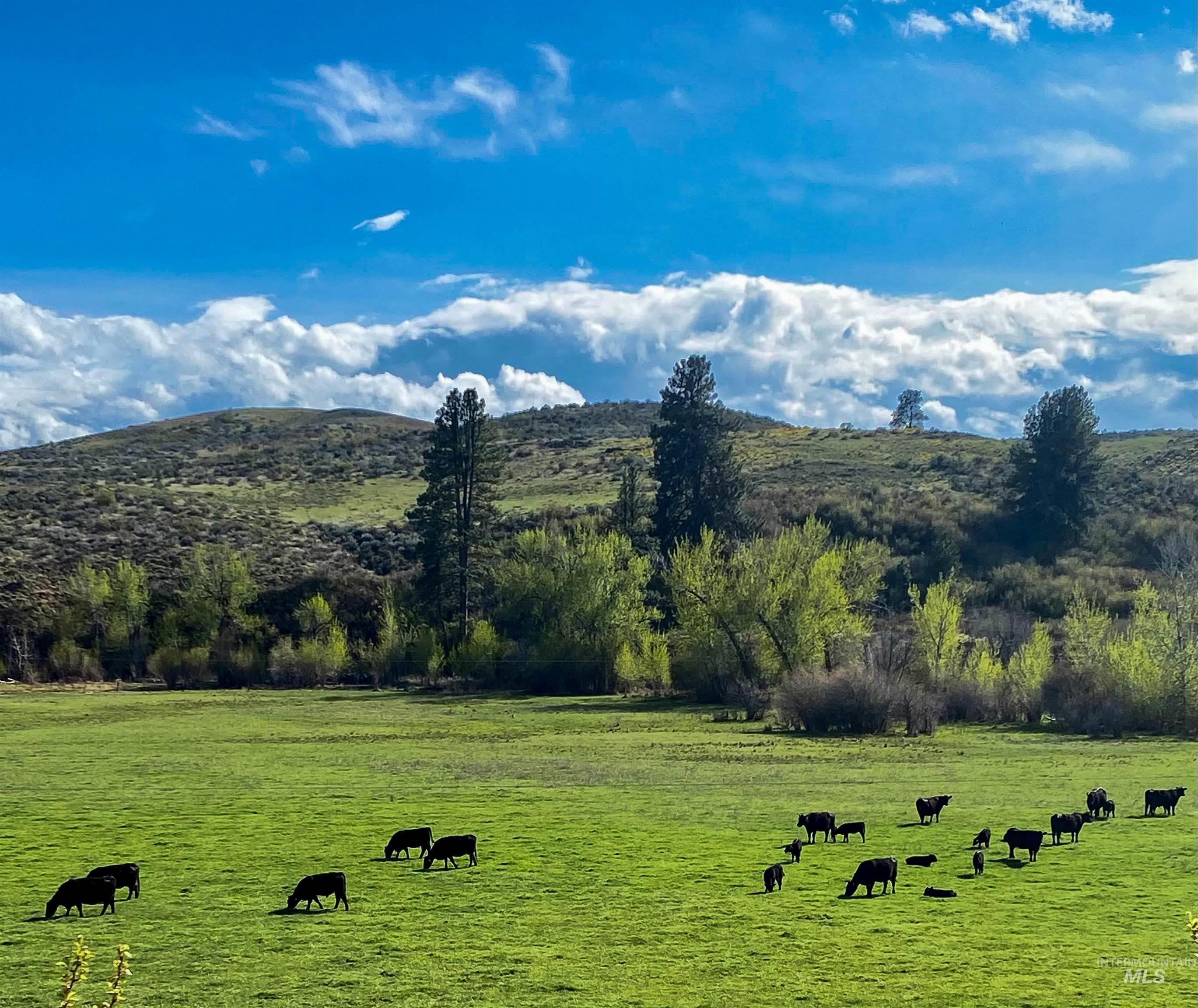 2168 Middle Fork Rd, Council, Idaho 83612, 2 Bedrooms, 1 Bathroom, Residential For Sale, Price $759,000, 98947573