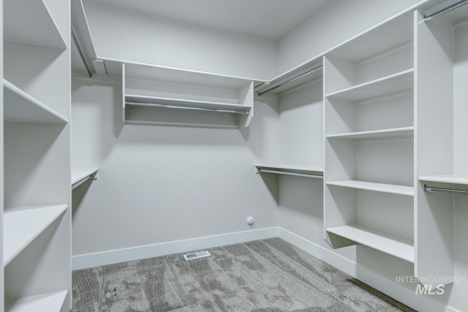 Spacious closet featuring carpet