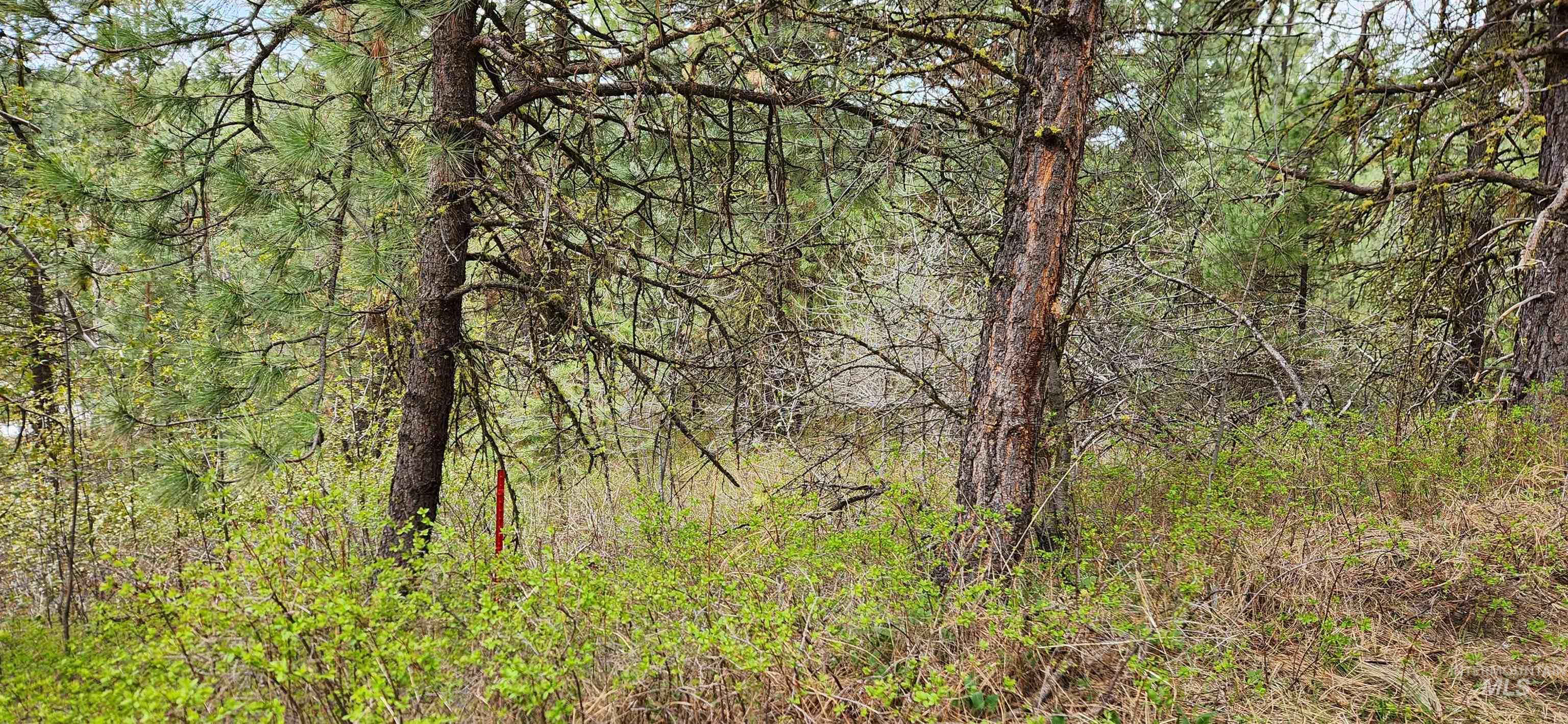 TBD Outlaw Trail, Banks, Idaho 83602, Land For Sale, Price $75,000, 98947594