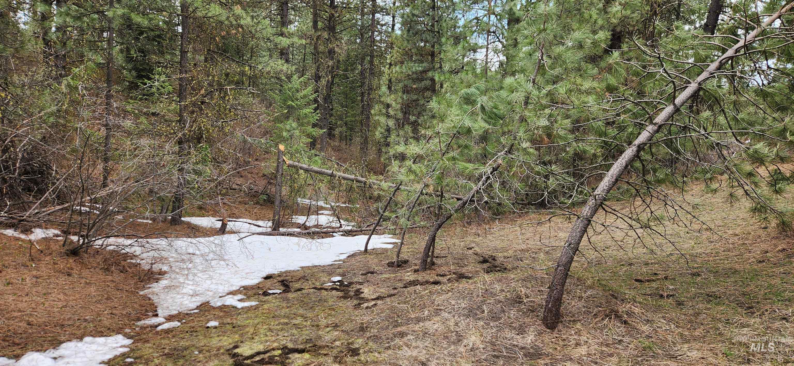 TBD Outlaw Trail, Banks, Idaho 83602, Land For Sale, Price $75,000, 98947594