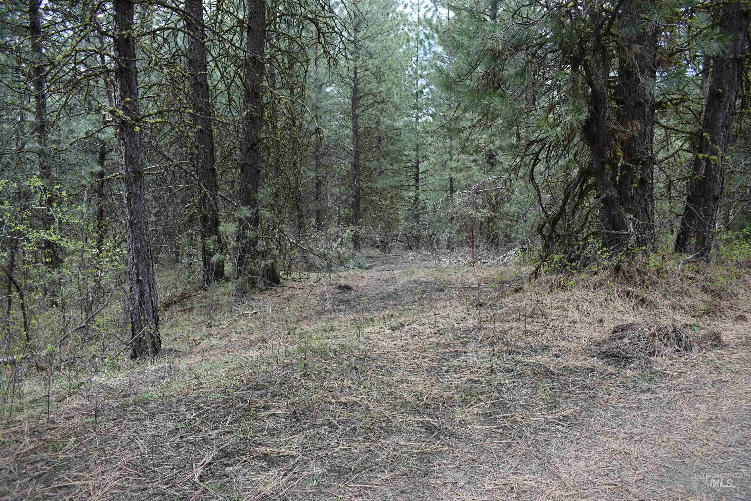 TBD Outlaw Trail, Banks, Idaho 83602, Land For Sale, Price $75,000, 98947594