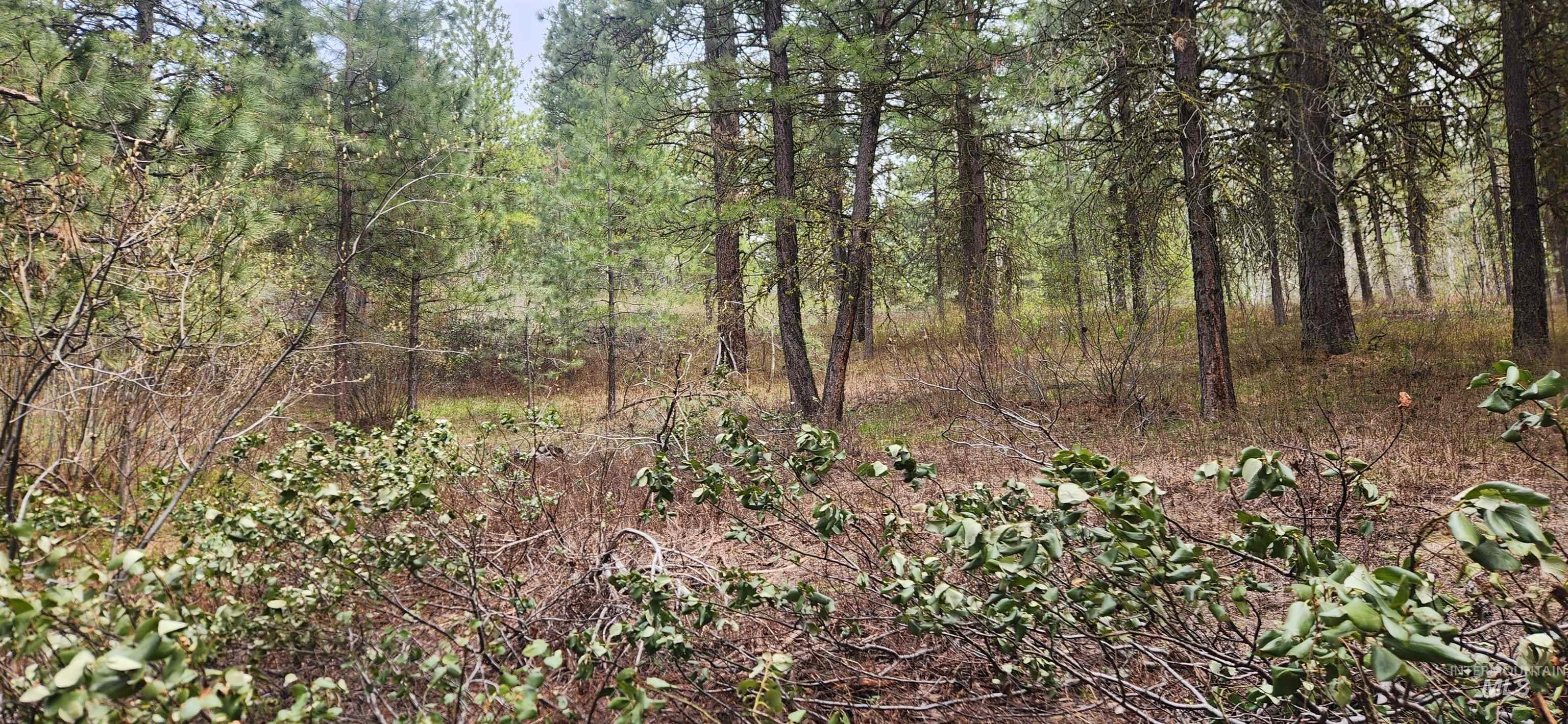 TBD Outlaw Trail, Banks, Idaho 83602, Land For Sale, Price $75,000, 98947594