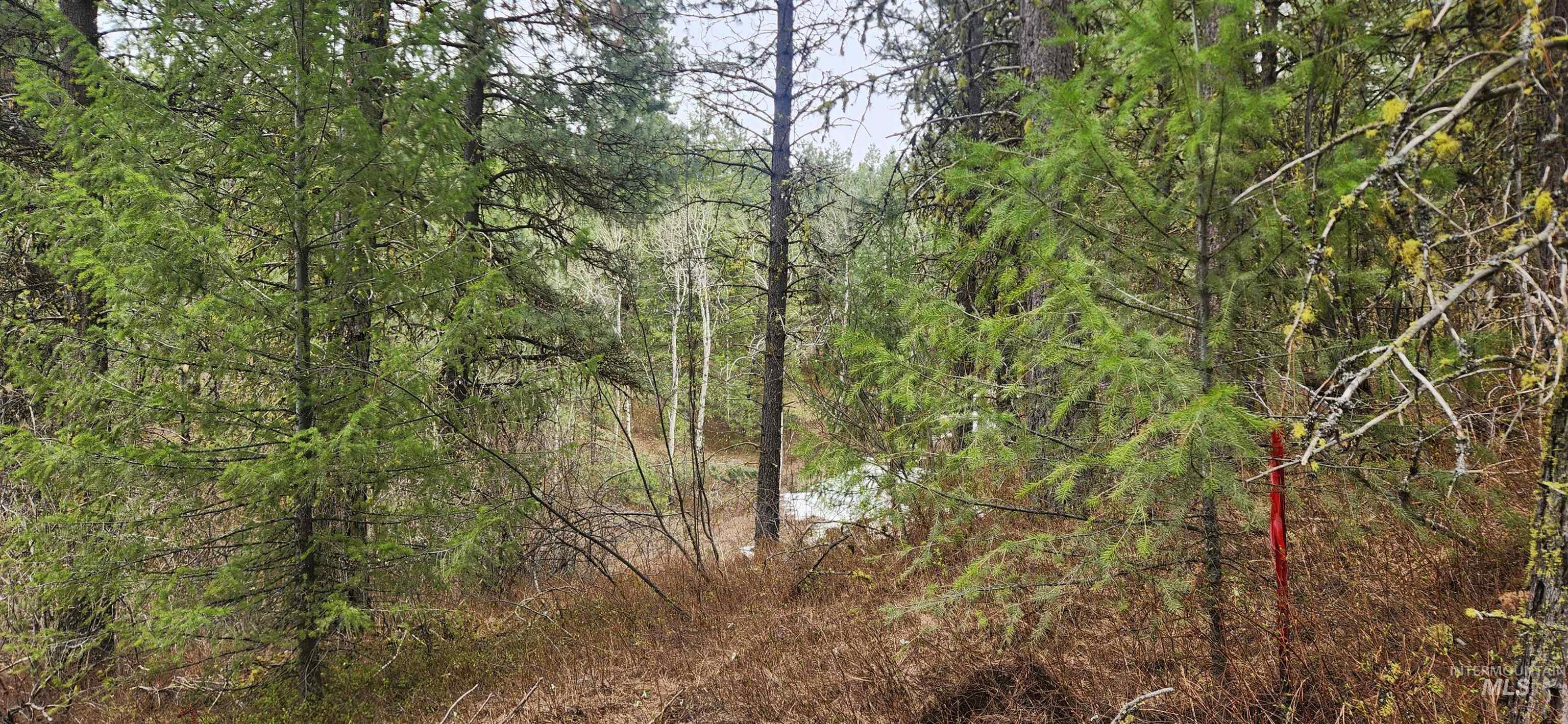 TBD Outlaw Trail, Banks, Idaho 83602, Land For Sale, Price $120,000, 98947595