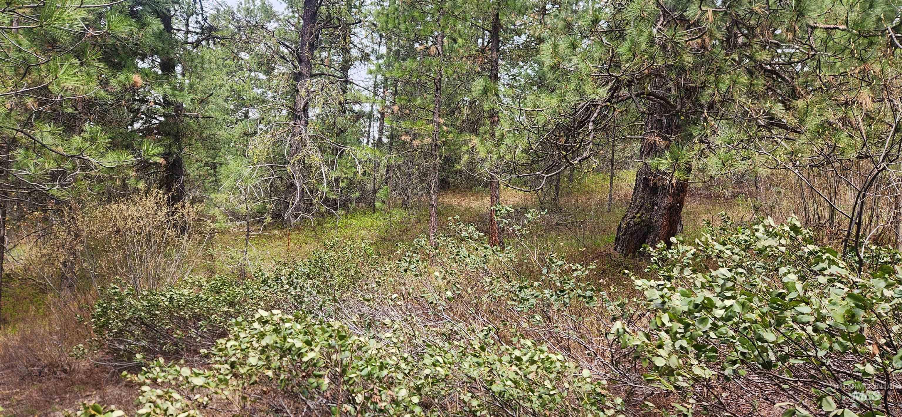 TBD Outlaw Trail, Banks, Idaho 83602, Land For Sale, Price $120,000, 98947595