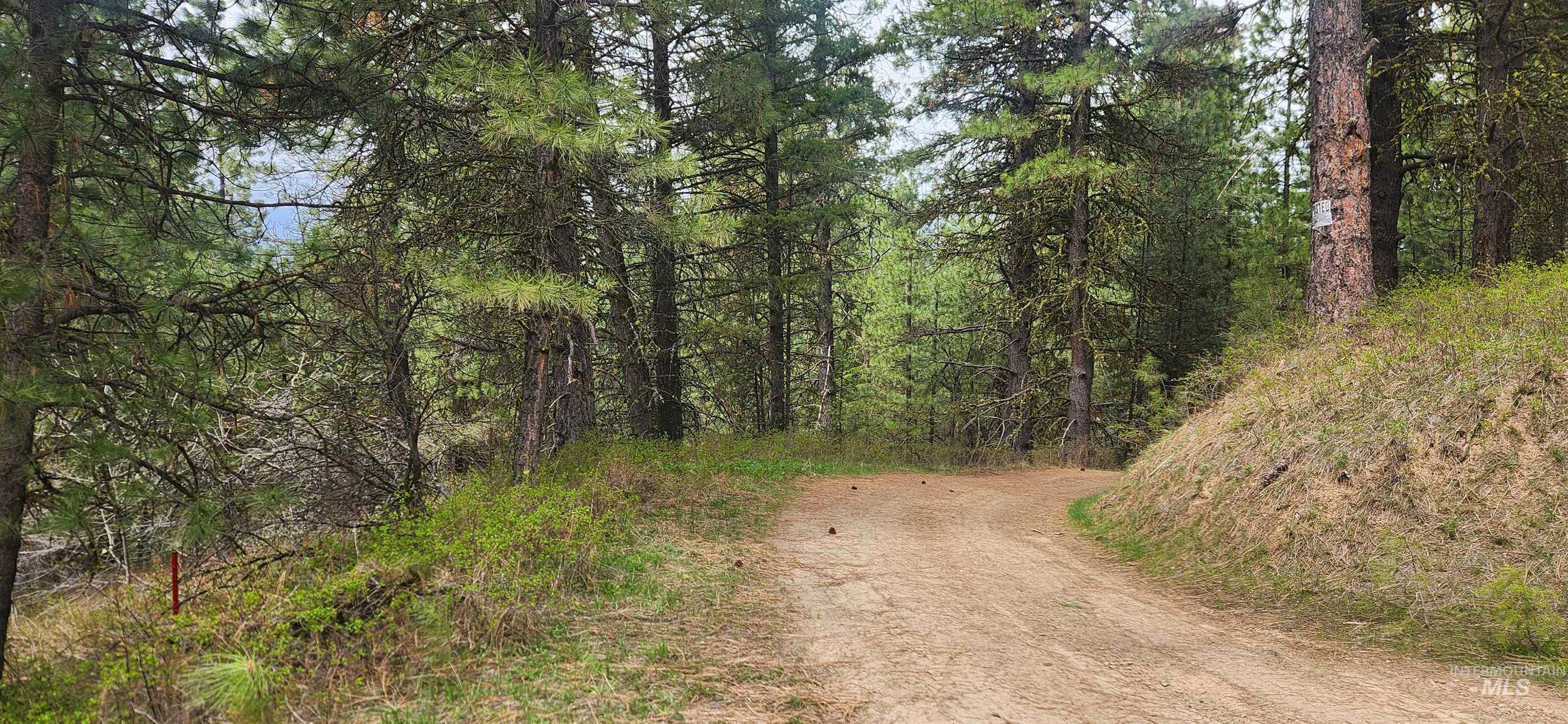 TBD Outlaw Trail, Banks, Idaho 83602, Land For Sale, Price $120,000, 98947595