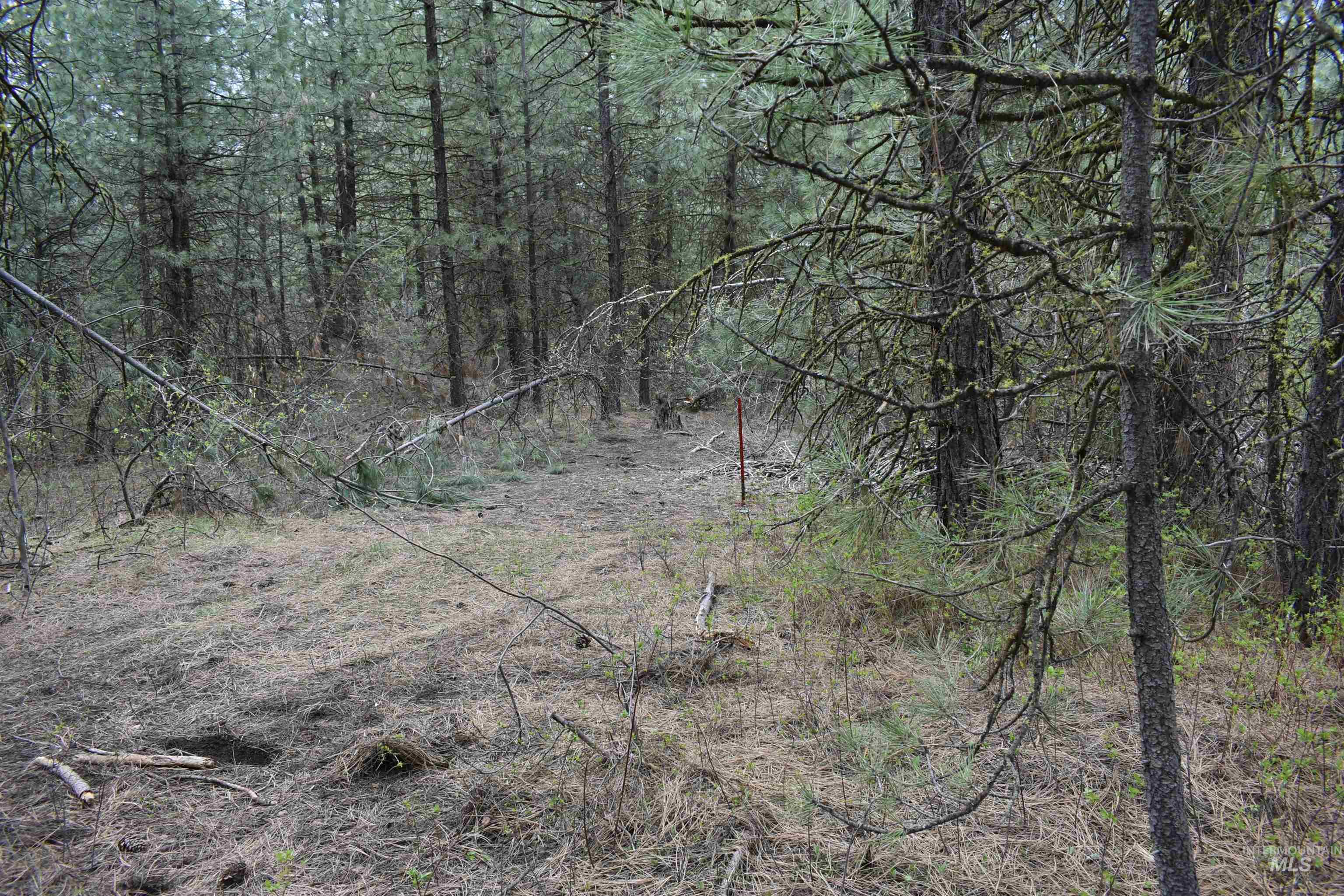 TBD Outlaw Trail, Banks, Idaho 83602, Land For Sale, Price $120,000, 98947595