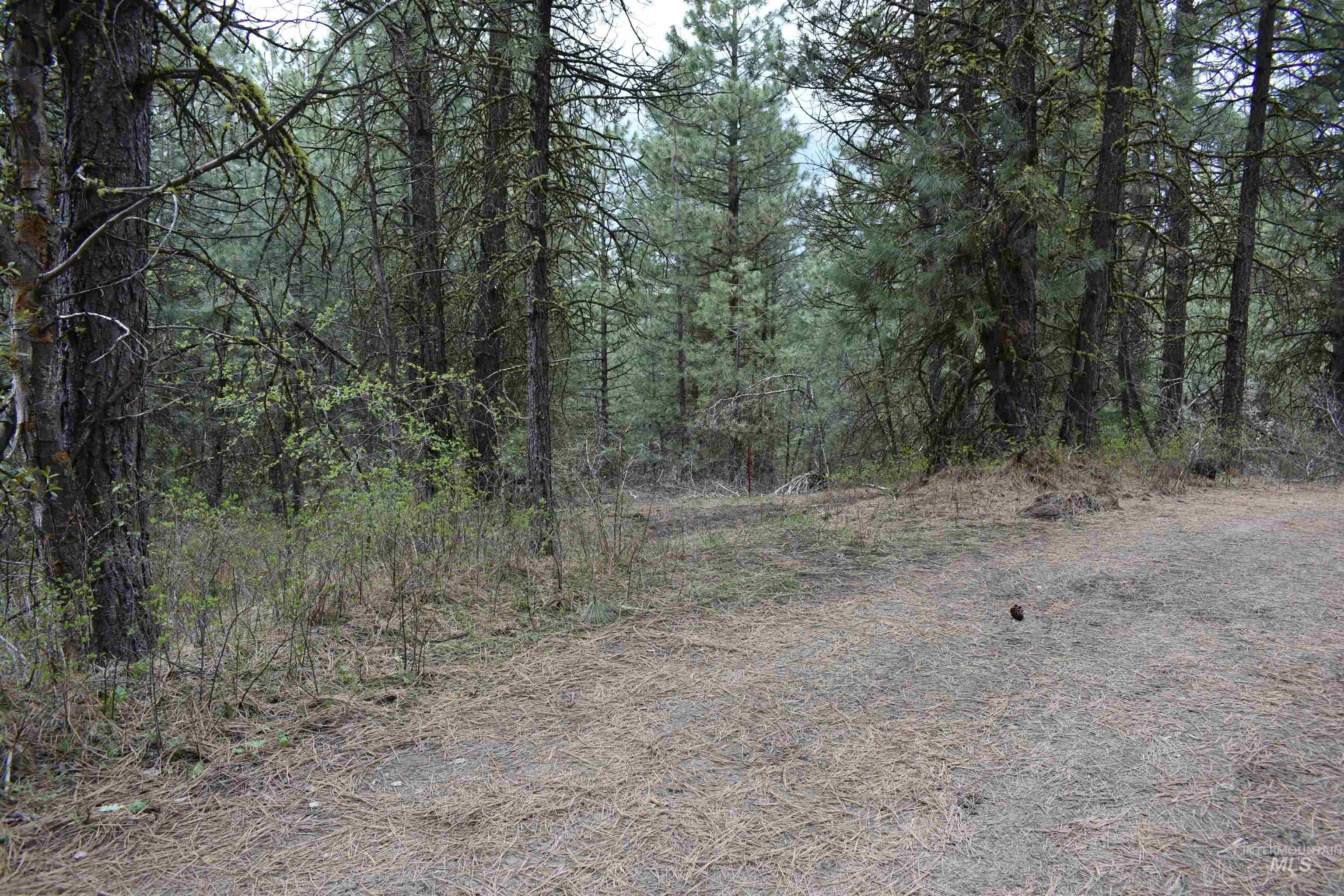 TBD Outlaw Trail, Banks, Idaho 83602, Land For Sale, Price $120,000, 98947595