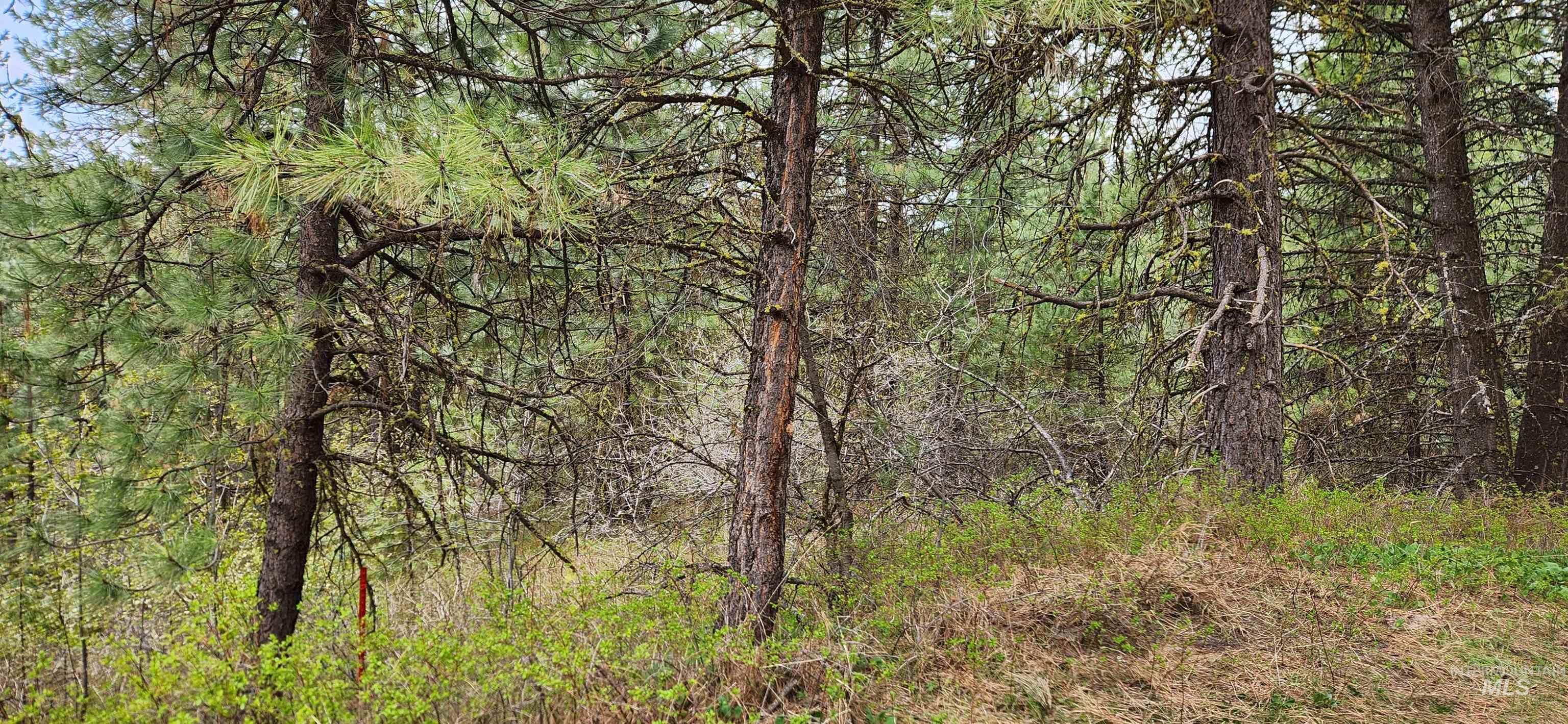 TBD Outlaw Trail, Banks, Idaho 83602, Land For Sale, Price $120,000, 98947595