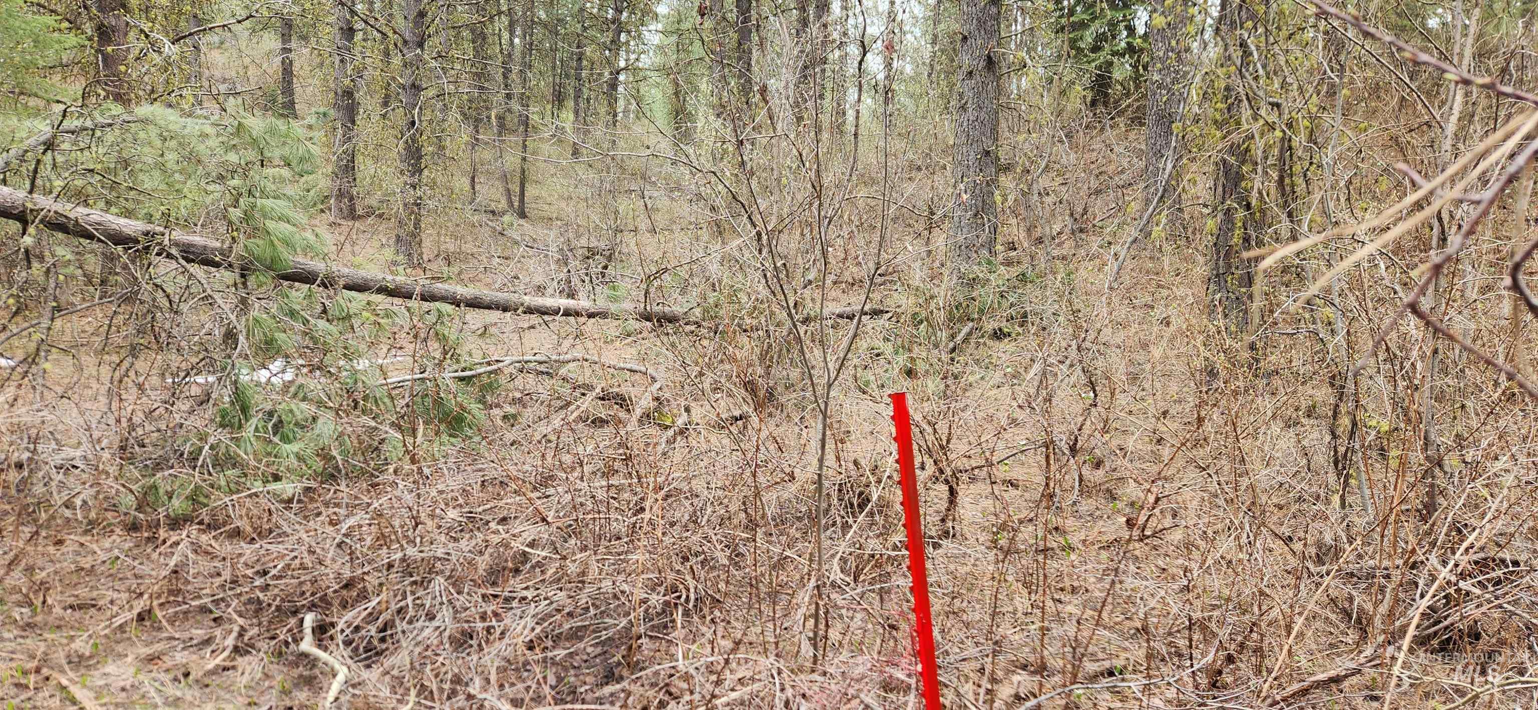TBD Outlaw Trail, Banks, Idaho 83602, Land For Sale, Price $120,000, 98947595