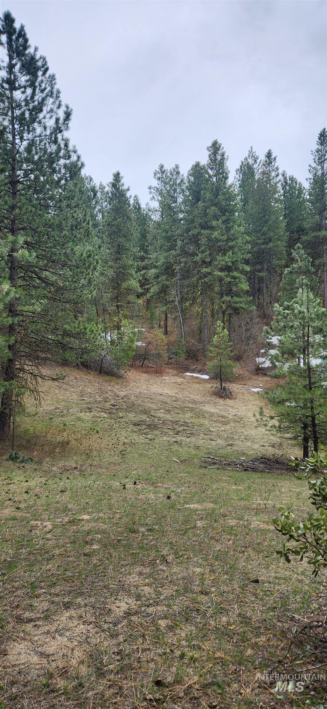 TBD Outlaw Trail, Banks, Idaho 83602, Land For Sale, Price $120,000, 98947595