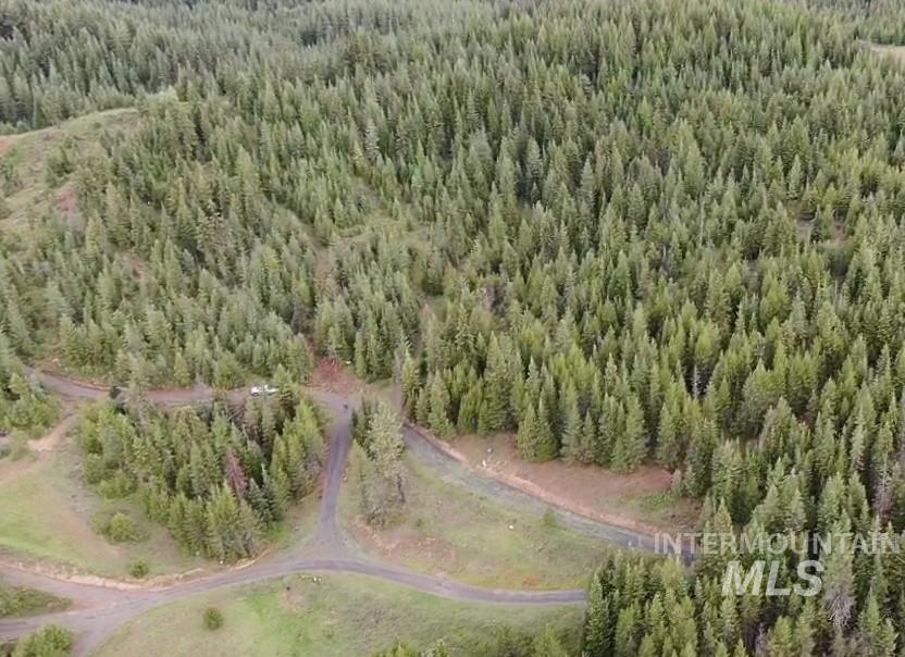 0 Fox Meadow Dr., Orofino, Idaho 83544, Land For Sale, Price $175,000, 98947600