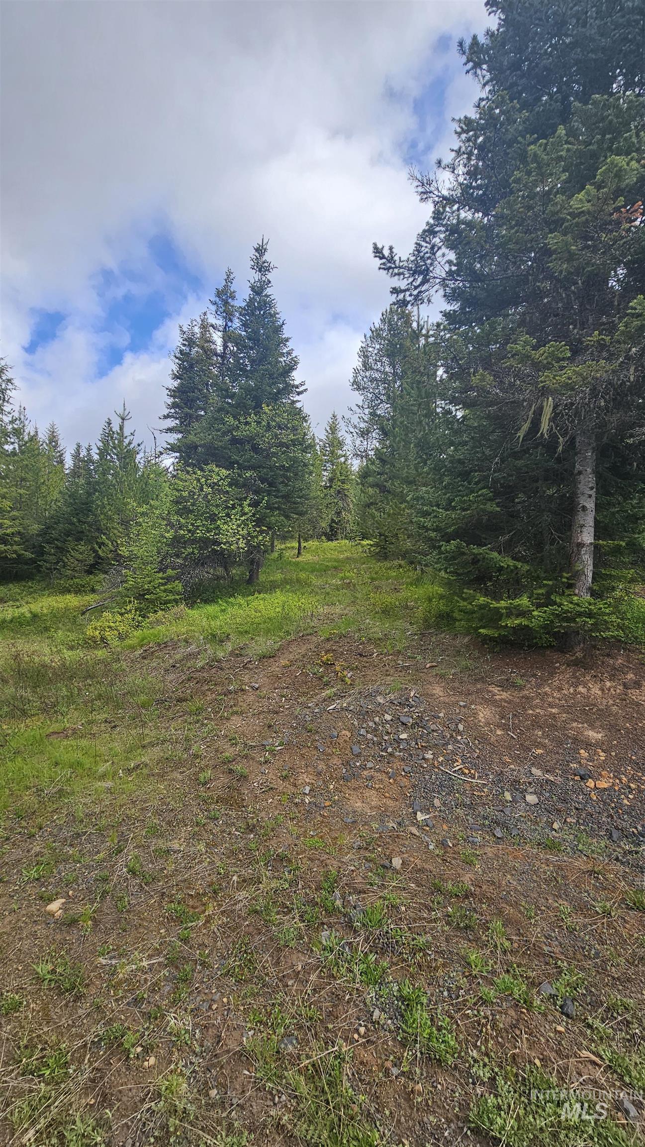 0 Fox Meadow Dr., Orofino, Idaho 83544, Land For Sale, Price $175,000, 98947600