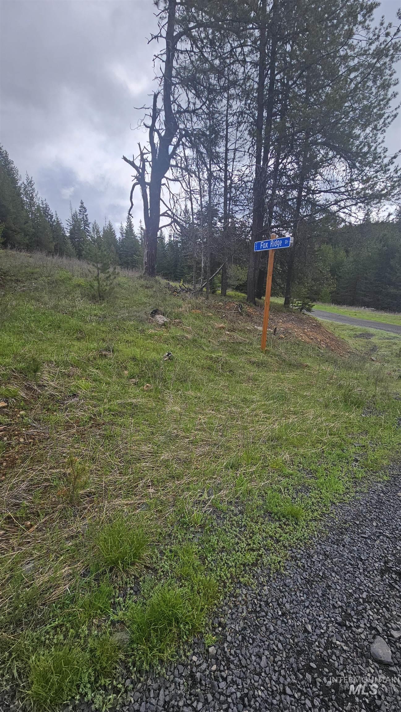 0 Fox Meadow Dr., Orofino, Idaho 83544, Land For Sale, Price $175,000, 98947600
