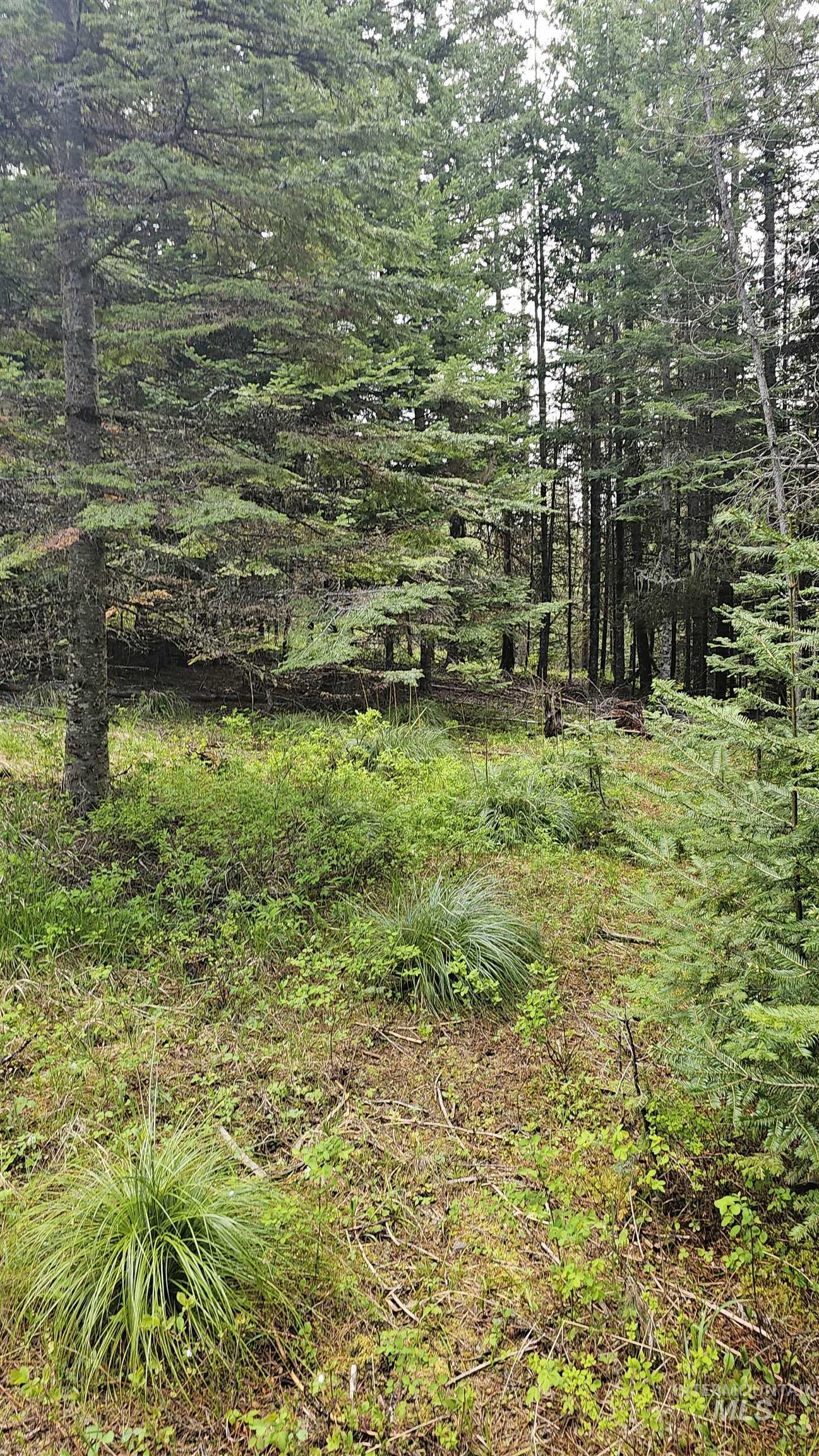0 Fox Meadow Dr., Orofino, Idaho 83544, Land For Sale, Price $175,000, 98947600
