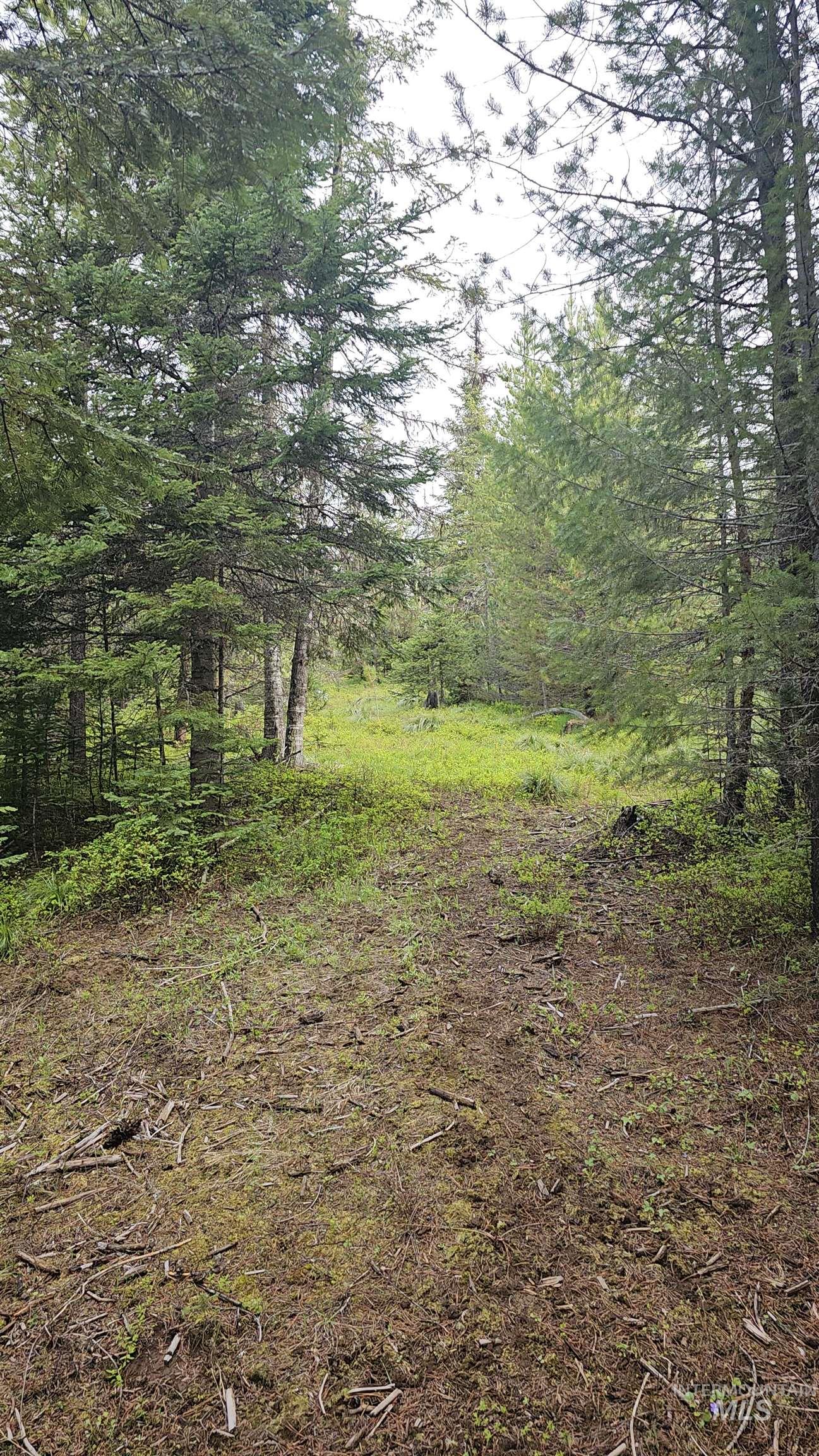 0 Fox Meadow Dr., Orofino, Idaho 83544, Land For Sale, Price $175,000, 98947600