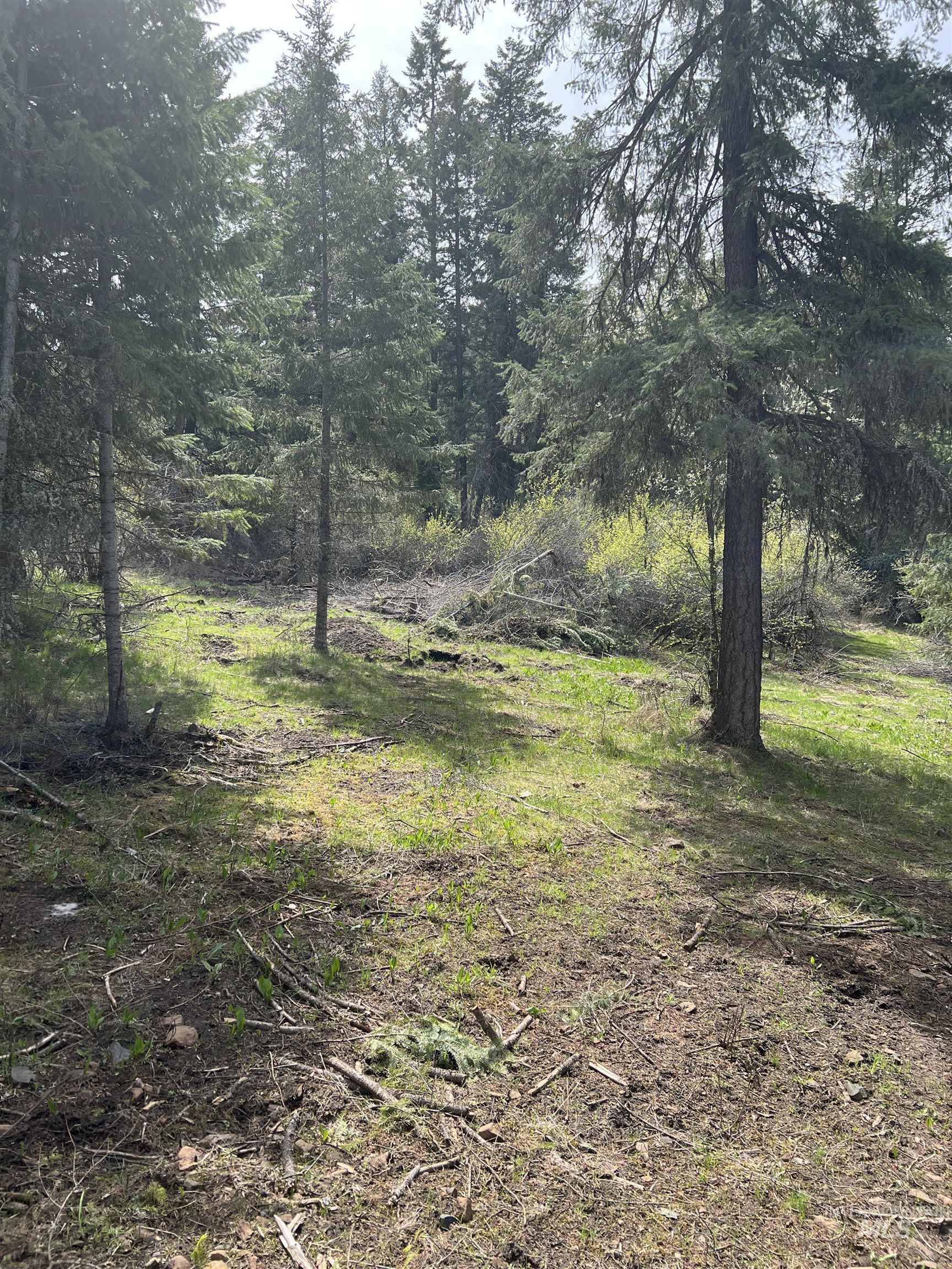 Parcel B Elk City Wagon Road, Stites, Idaho 83539, Land For Sale, Price $117,000, 98947634