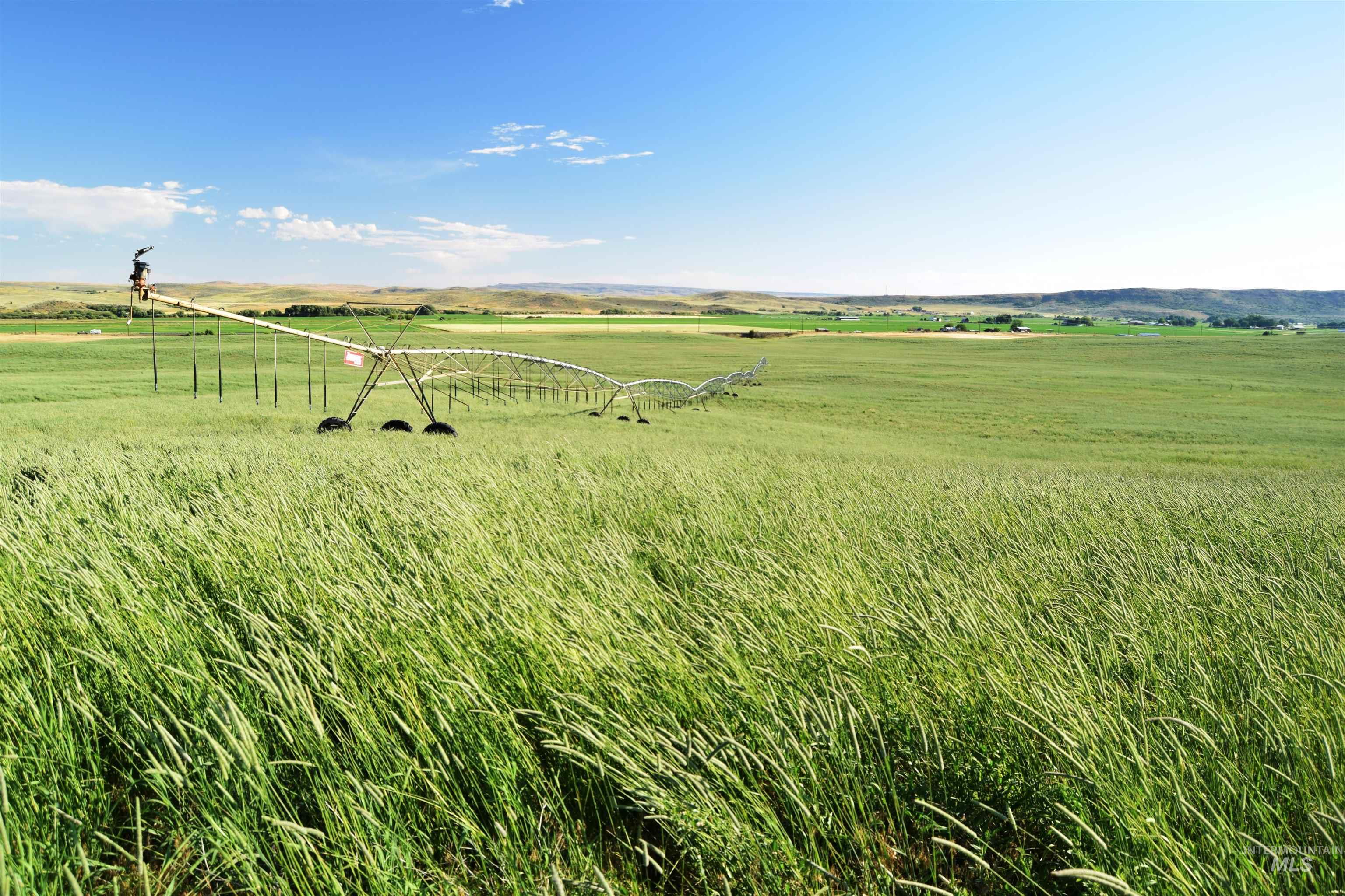 View of yard featuring a rural view