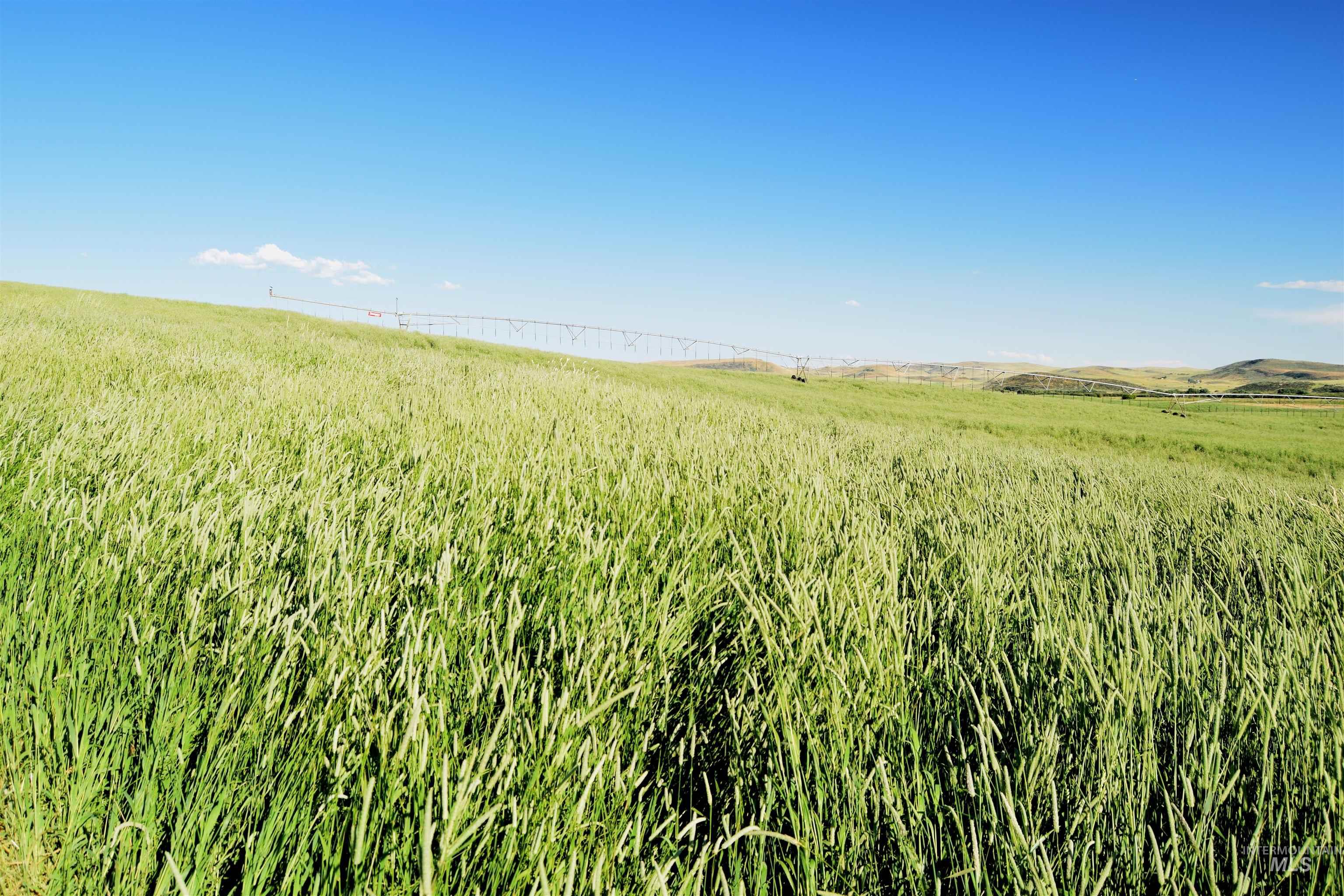 View of undeveloped land with rural landscape
