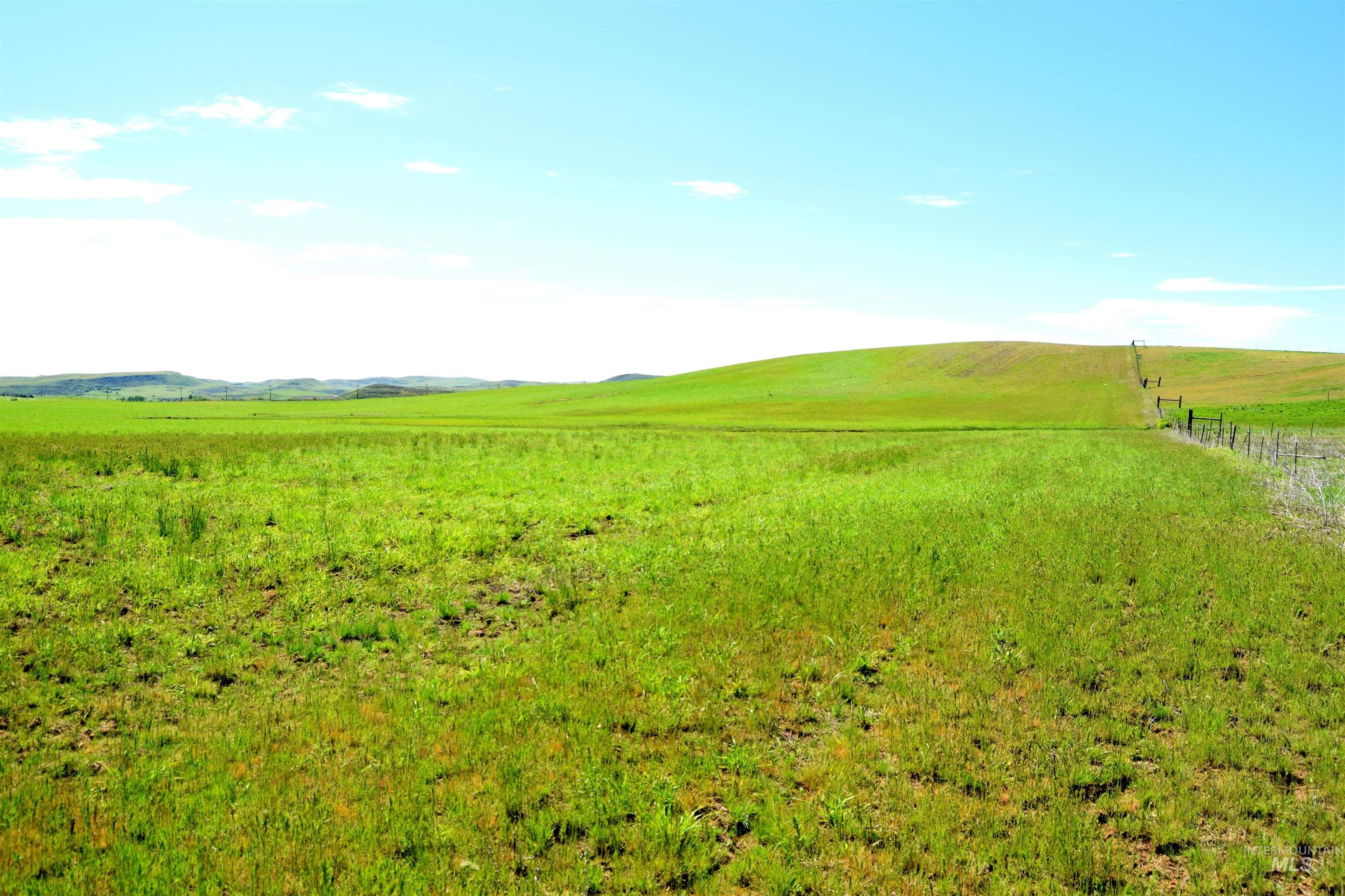 TBD US Hwy 95, Cambridge, Idaho 83610, Farm & Ranch For Sale, Price $1,150,000, 98947665