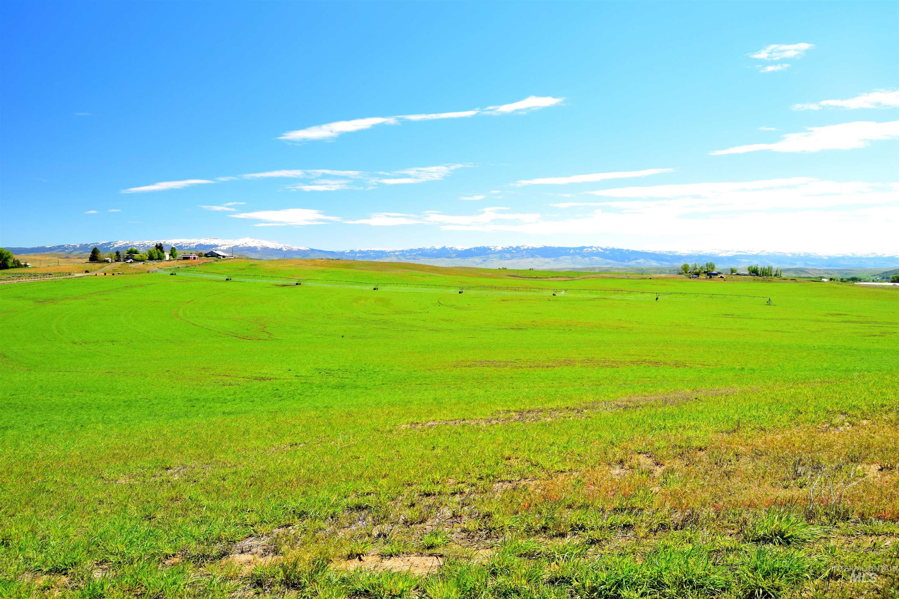 TBD US Hwy 95, Cambridge, Idaho 83610, Farm & Ranch For Sale, Price $1,150,000, 98947665