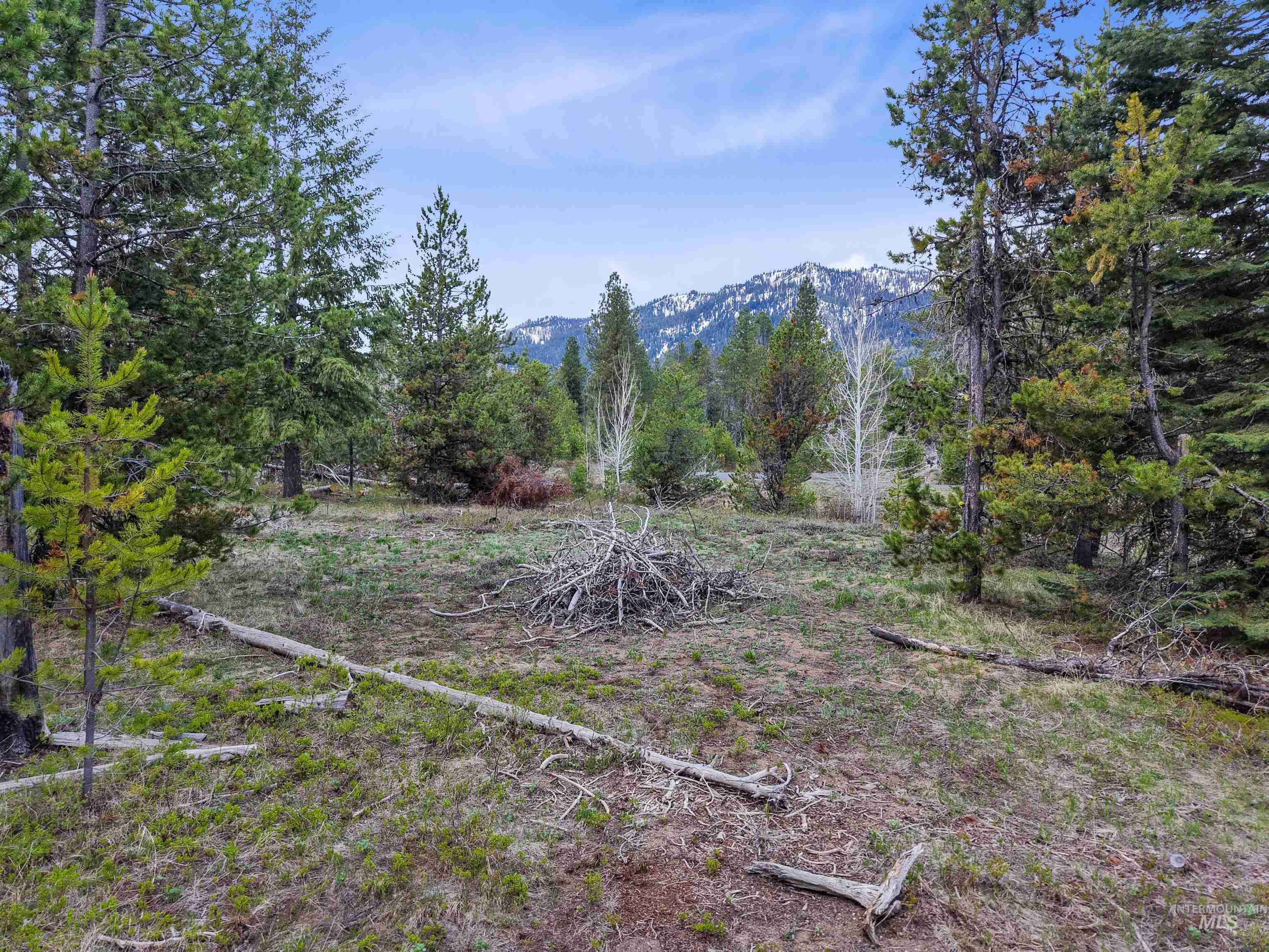 TBD Herons Nest Ct., Donnelly, Idaho 83615, Land For Sale, Price $189,400, 98947673