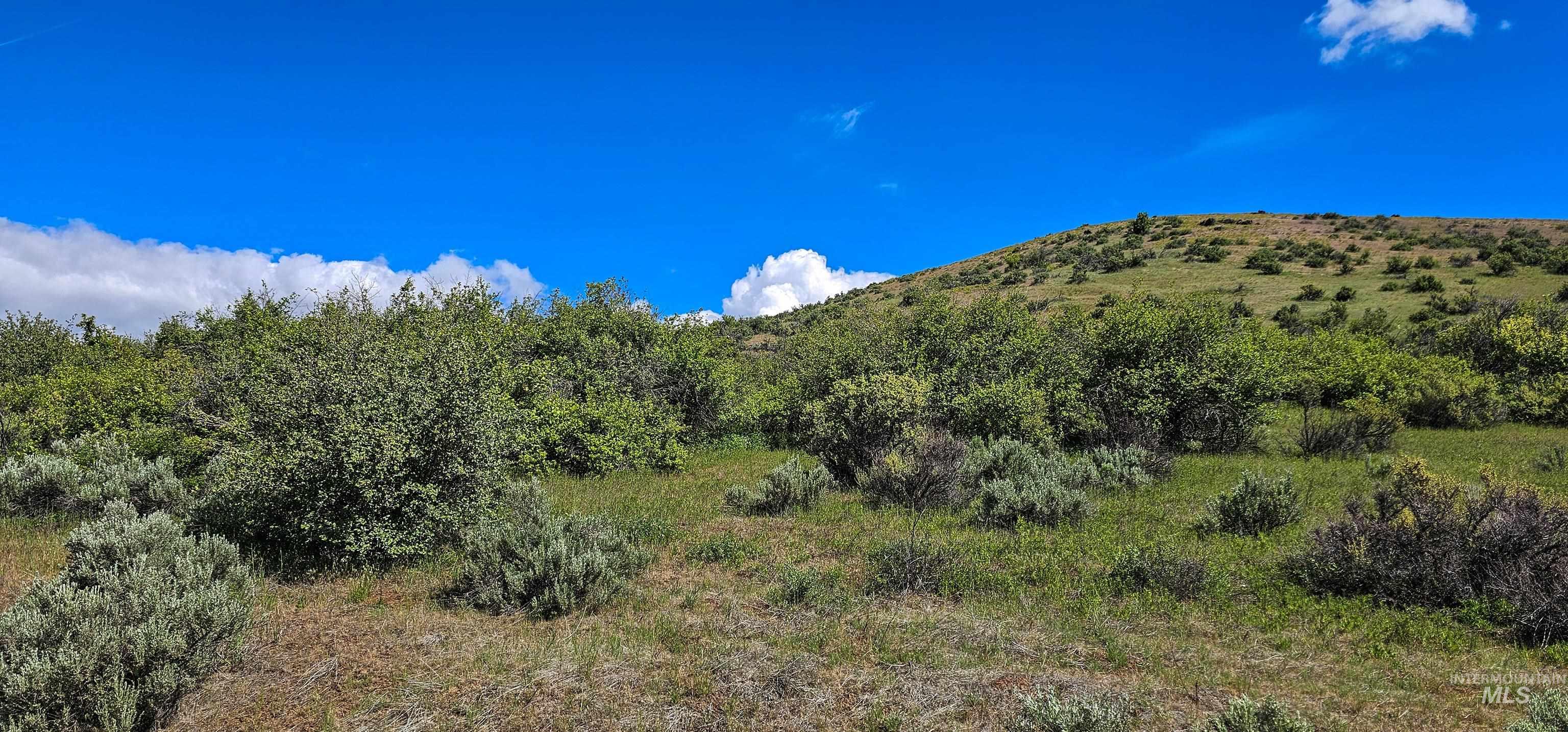 2168 Middle Fork Rd, Council, Idaho 83612, 2 Bedrooms, 1 Bathroom, Farm & Ranch For Sale, Price $775,000, 98947700