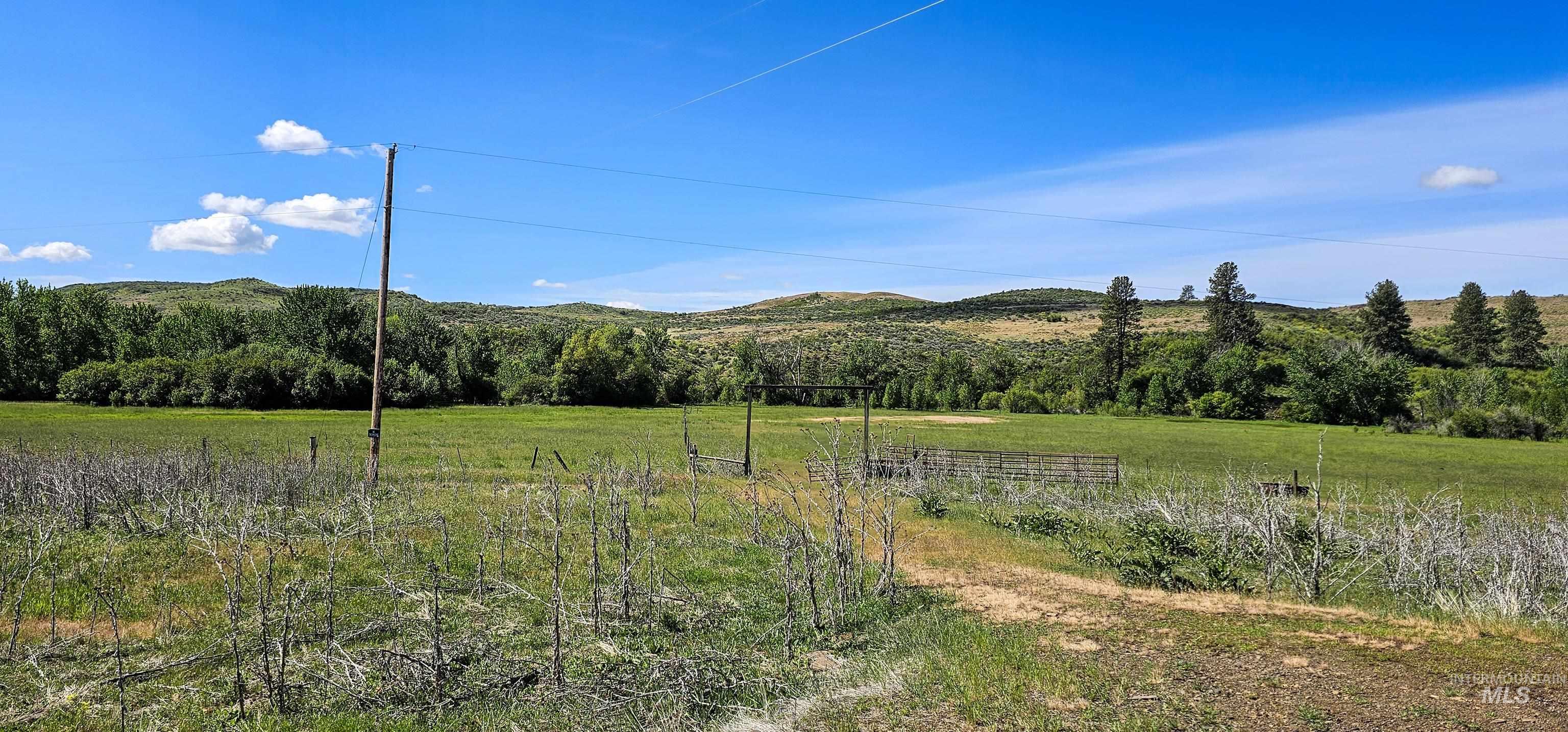 2168 Middle Fork Rd, Council, Idaho 83612, 2 Bedrooms, 1 Bathroom, Farm & Ranch For Sale, Price $775,000, 98947700