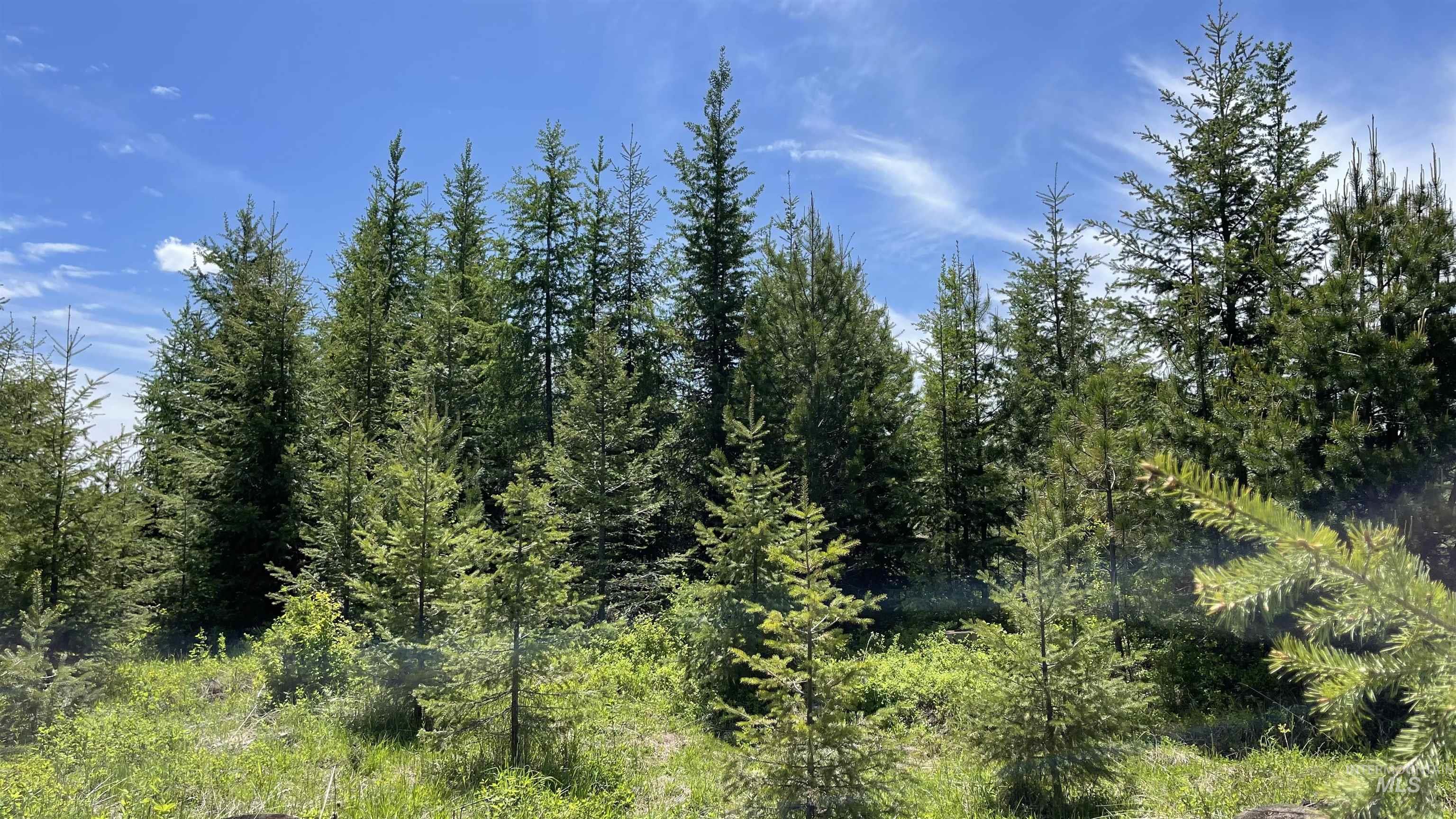 TBD Parcel 8 Bandmill Heights, Orofino, Idaho 83544, Land For Sale, Price $219,500, 98947706