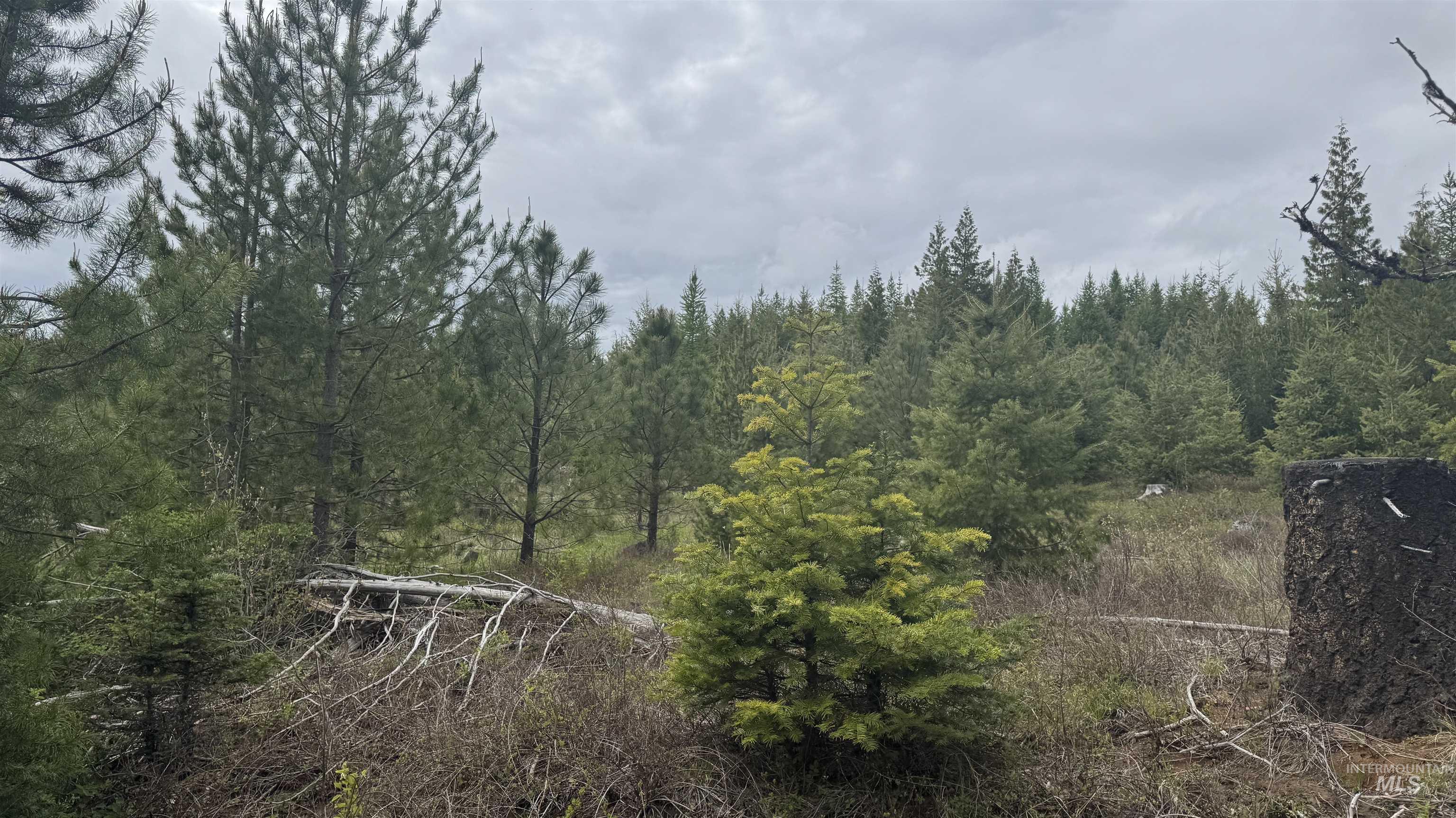 TBD Parcel 8 Bandmill Heights, Orofino, Idaho 83544, Land For Sale, Price $219,500, 98947706