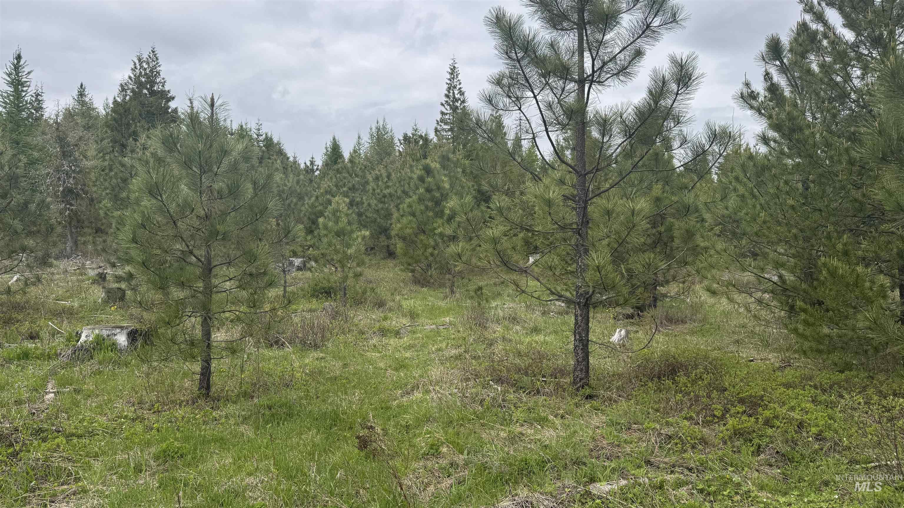 TBD Parcel 8 Bandmill Heights, Orofino, Idaho 83544, Land For Sale, Price $219,500, 98947706