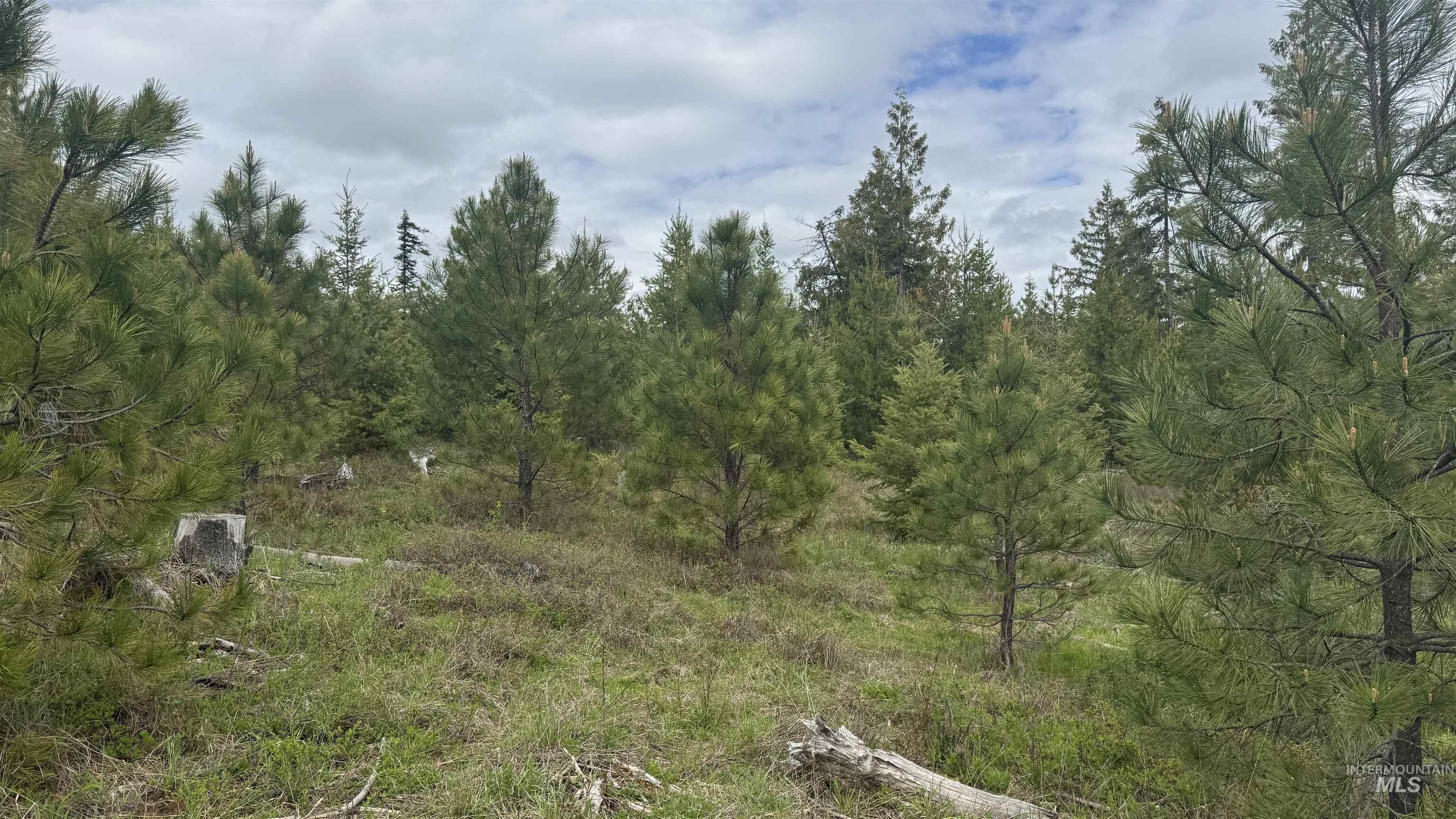 TBD Parcel 8 Bandmill Heights, Orofino, Idaho 83544, Land For Sale, Price $219,500, 98947706