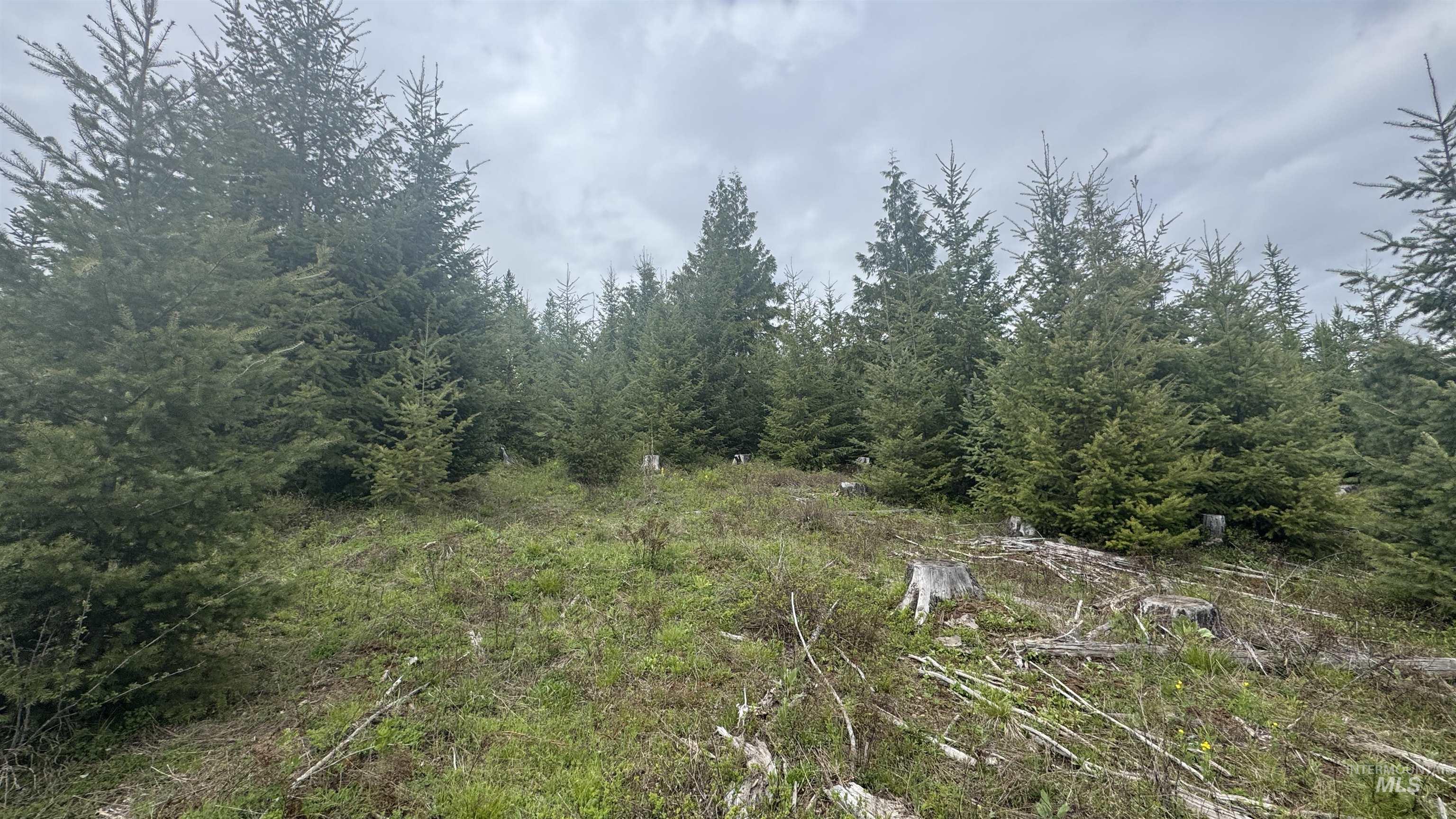 TBD Parcel 8 Bandmill Heights, Orofino, Idaho 83544, Land For Sale, Price $219,500, 98947706