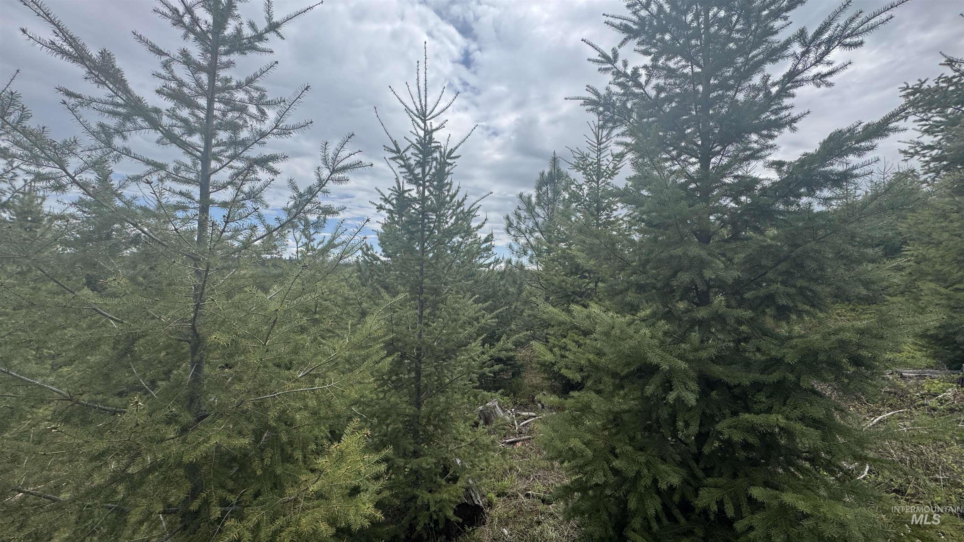 TBD Parcel 8 Bandmill Heights, Orofino, Idaho 83544, Land For Sale, Price $219,500, 98947706