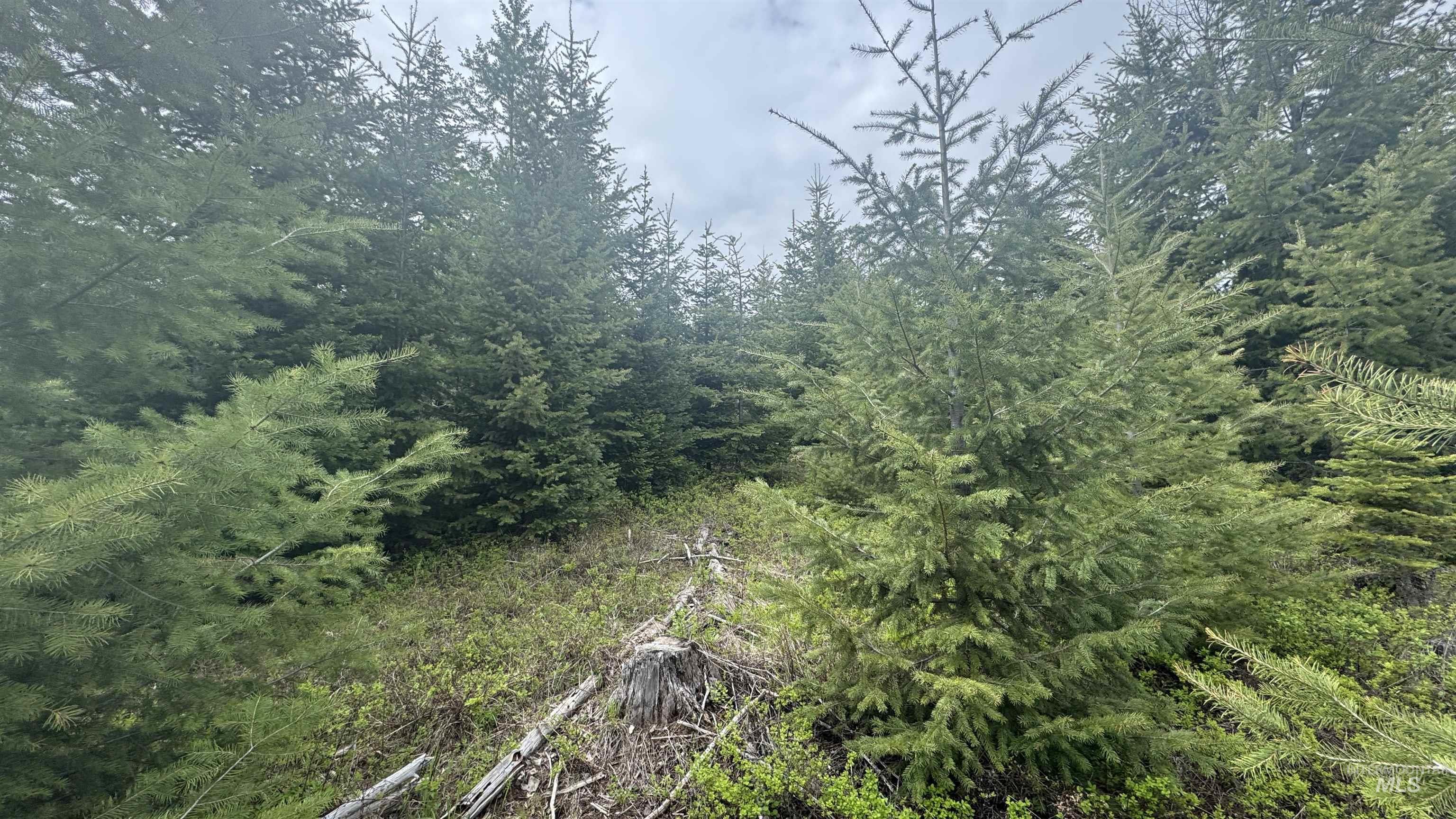 TBD Parcel 8 Bandmill Heights, Orofino, Idaho 83544, Land For Sale, Price $219,500, 98947706