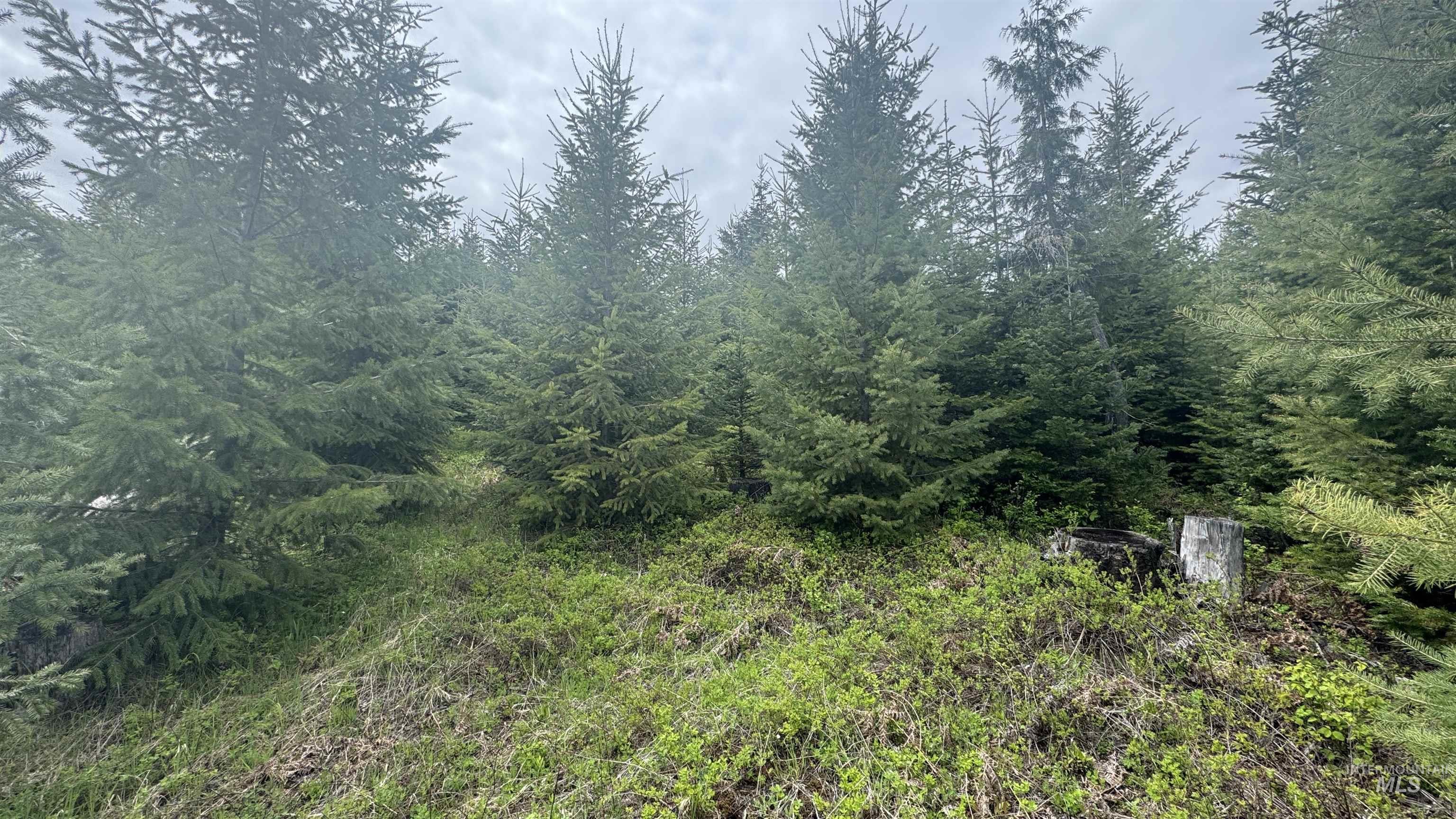 TBD Parcel 8 Bandmill Heights, Orofino, Idaho 83544, Land For Sale, Price $219,500, 98947706