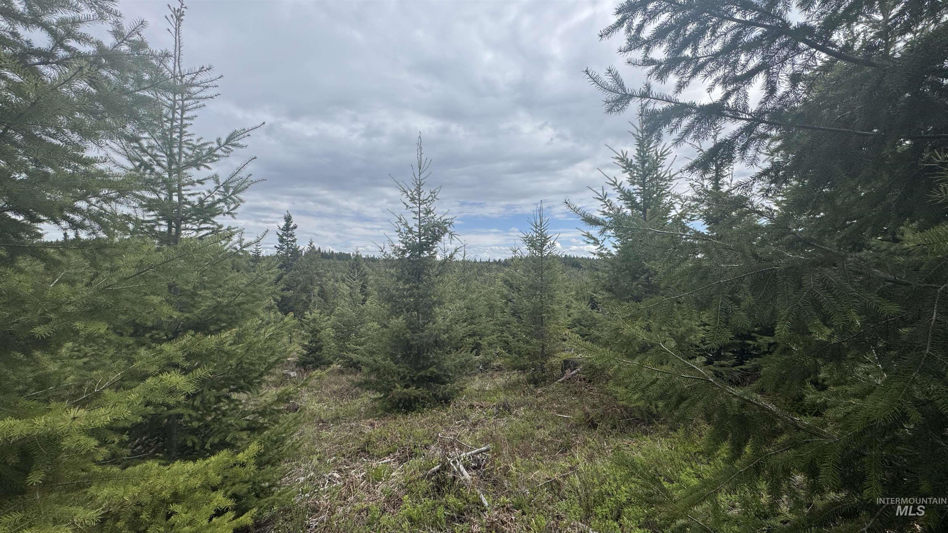 TBD Parcel 8 Bandmill Heights, Orofino, Idaho 83544, Land For Sale, Price $219,500, 98947706