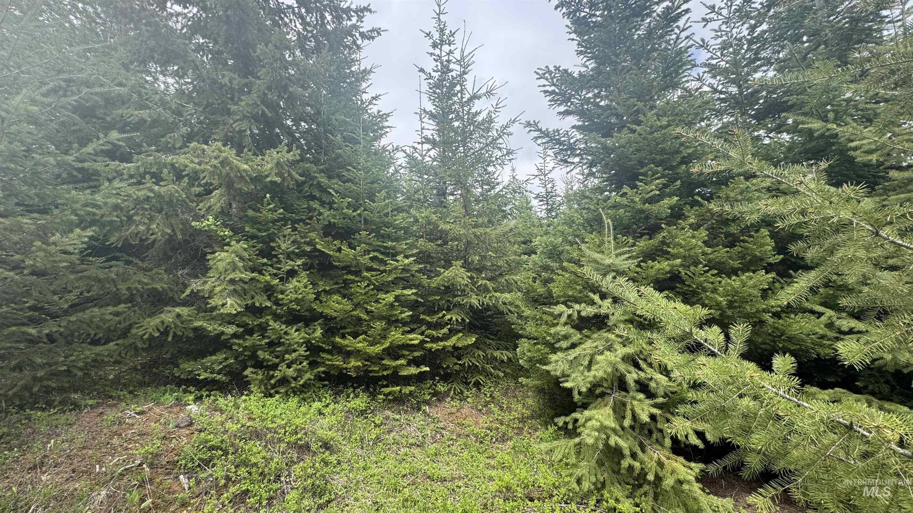 TBD Parcel 8 Bandmill Heights, Orofino, Idaho 83544, Land For Sale, Price $219,500, 98947706