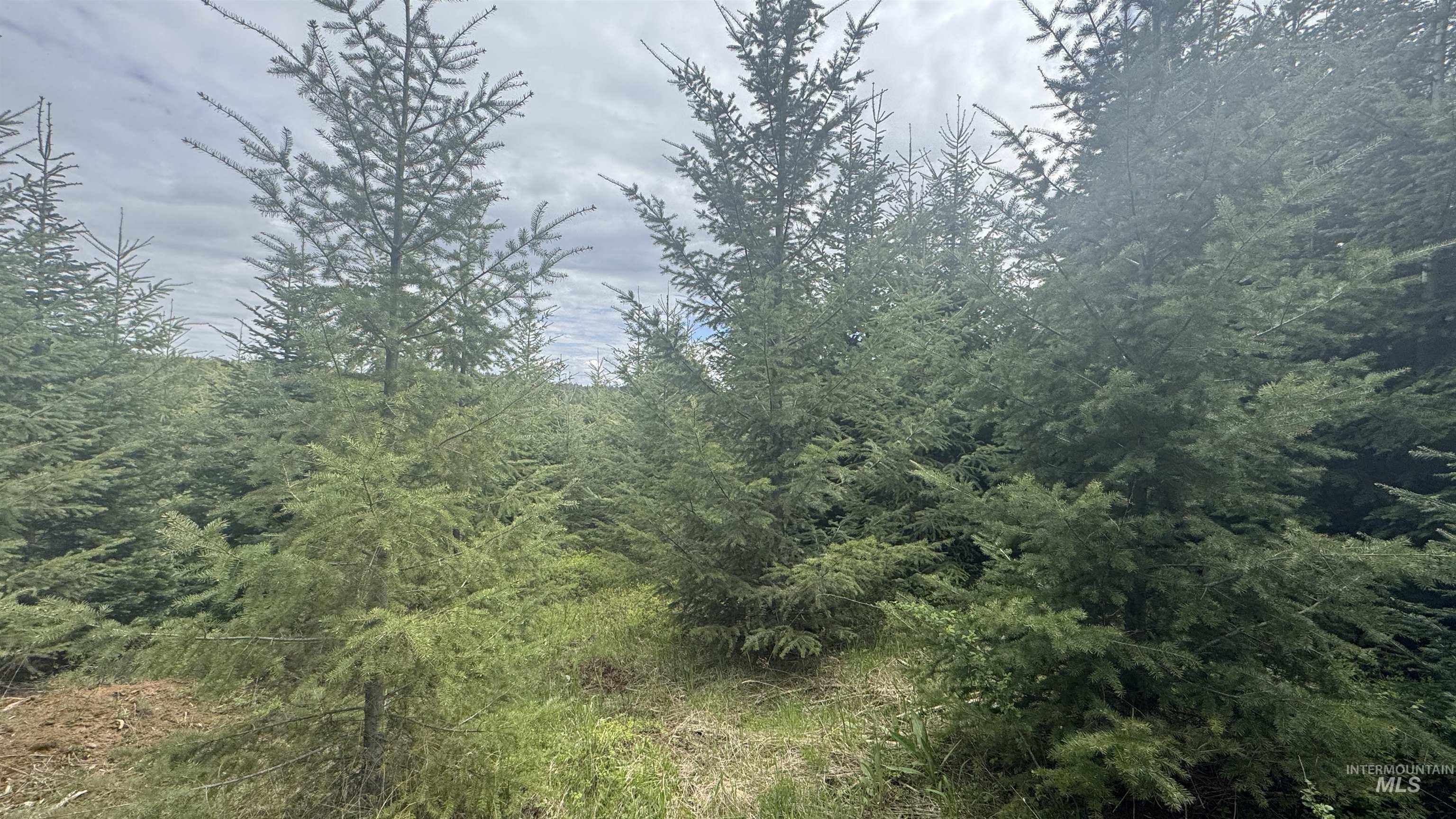 TBD Parcel 8 Bandmill Heights, Orofino, Idaho 83544, Land For Sale, Price $219,500, 98947706