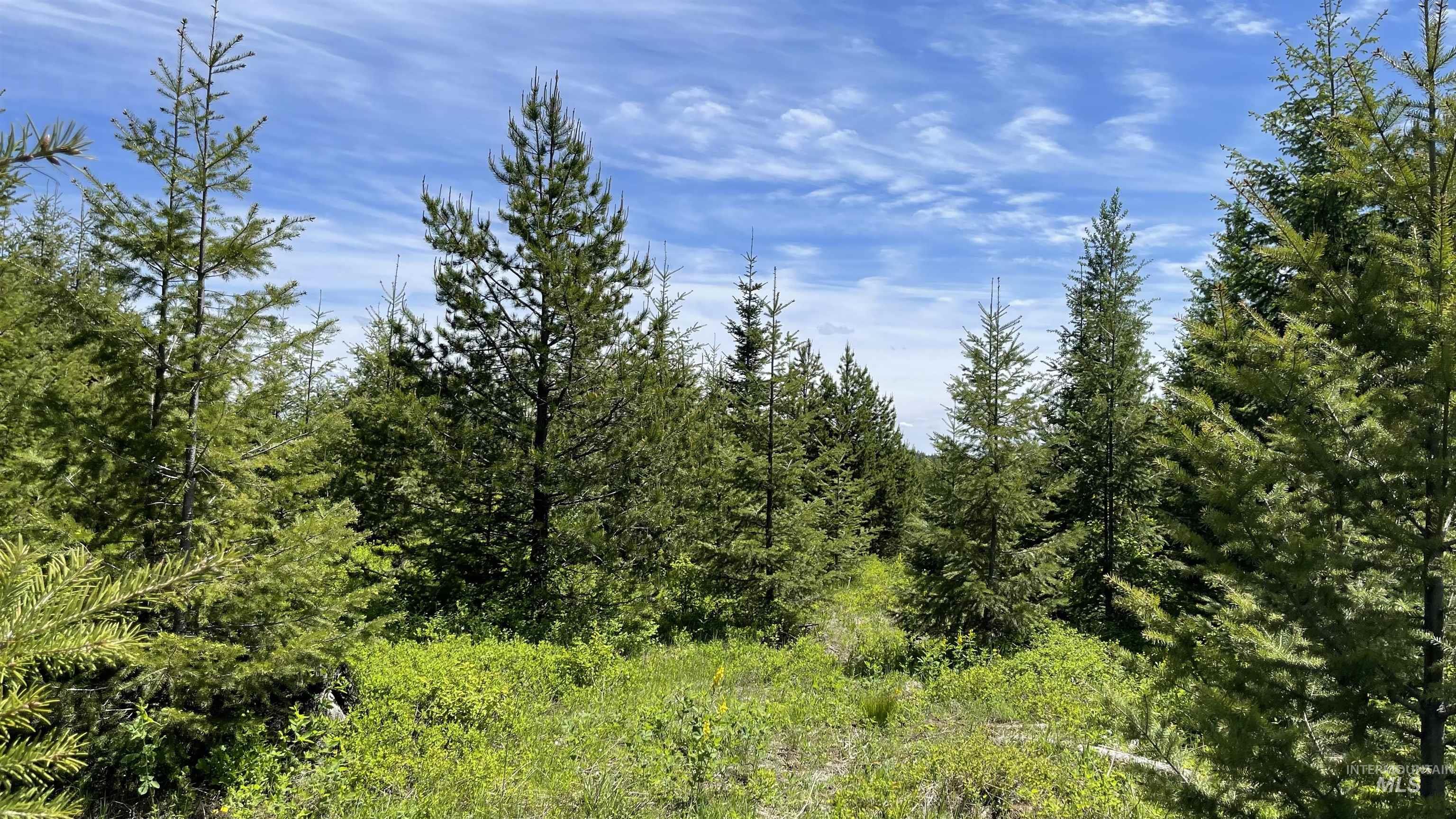 TBD Parcel 8 Bandmill Heights, Orofino, Idaho 83544, Land For Sale, Price $219,500, 98947706