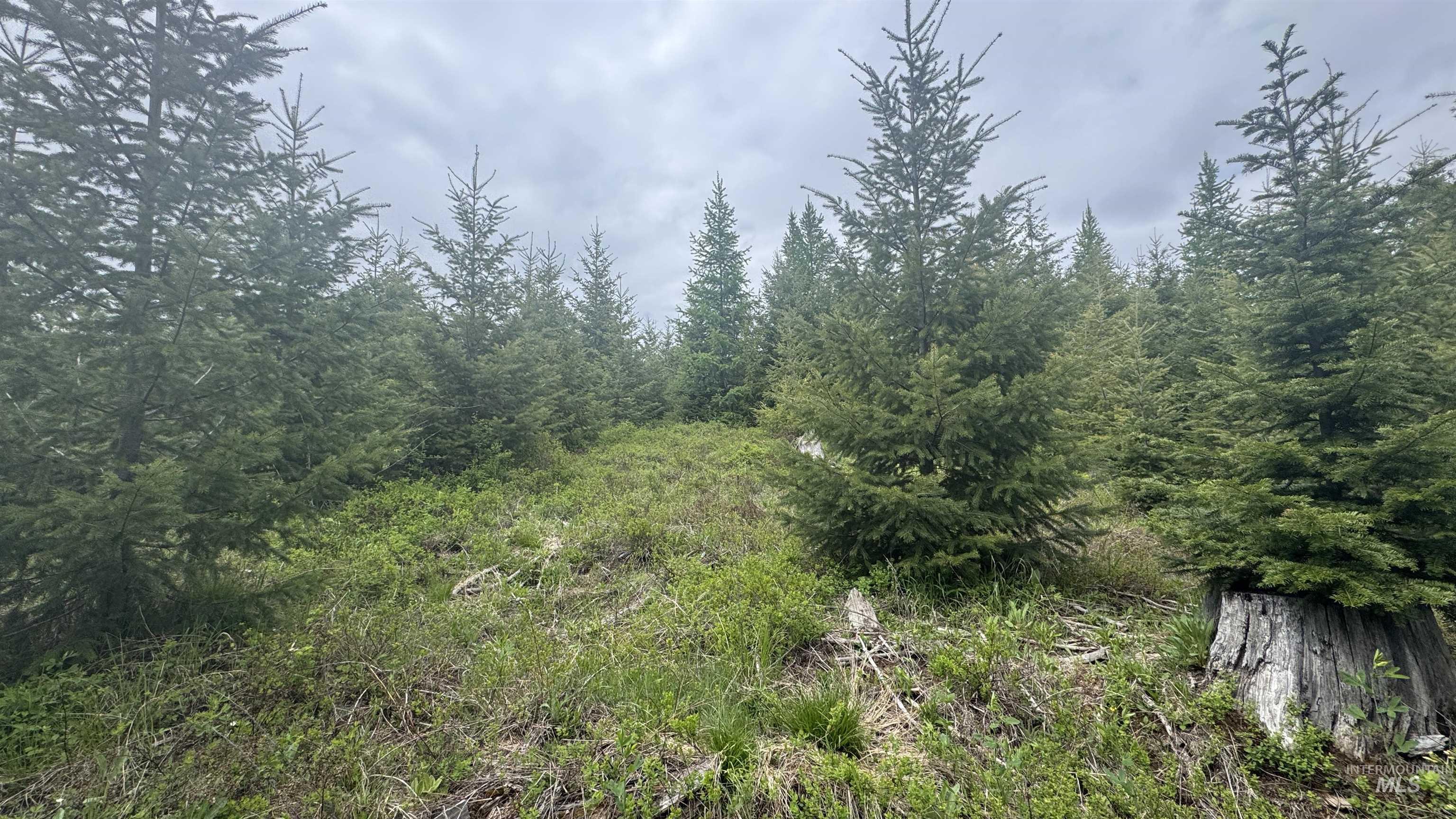 TBD Parcel 8 Bandmill Heights, Orofino, Idaho 83544, Land For Sale, Price $219,500, 98947706