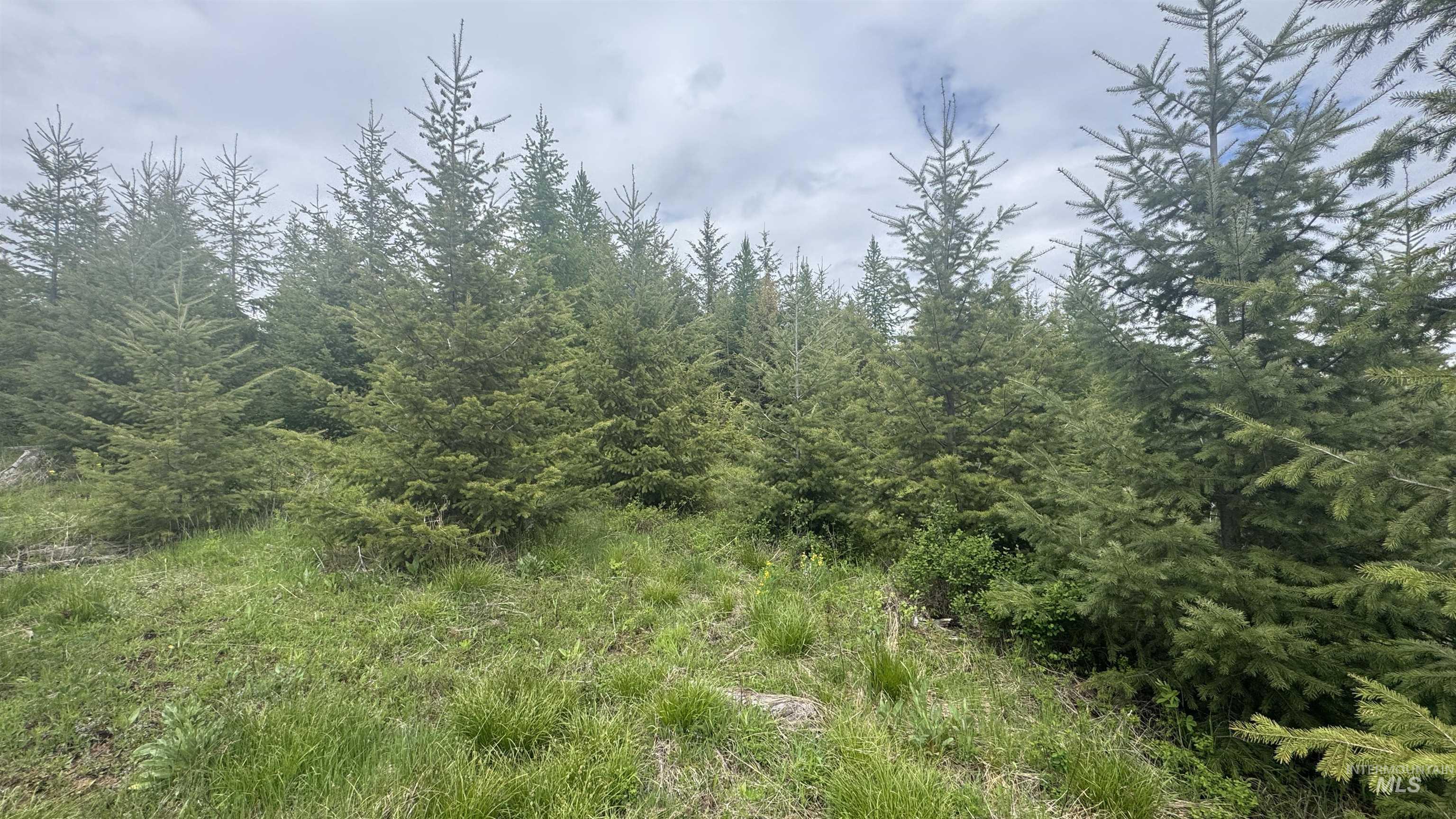 TBD Parcel 8 Bandmill Heights, Orofino, Idaho 83544, Land For Sale, Price $219,500, 98947706