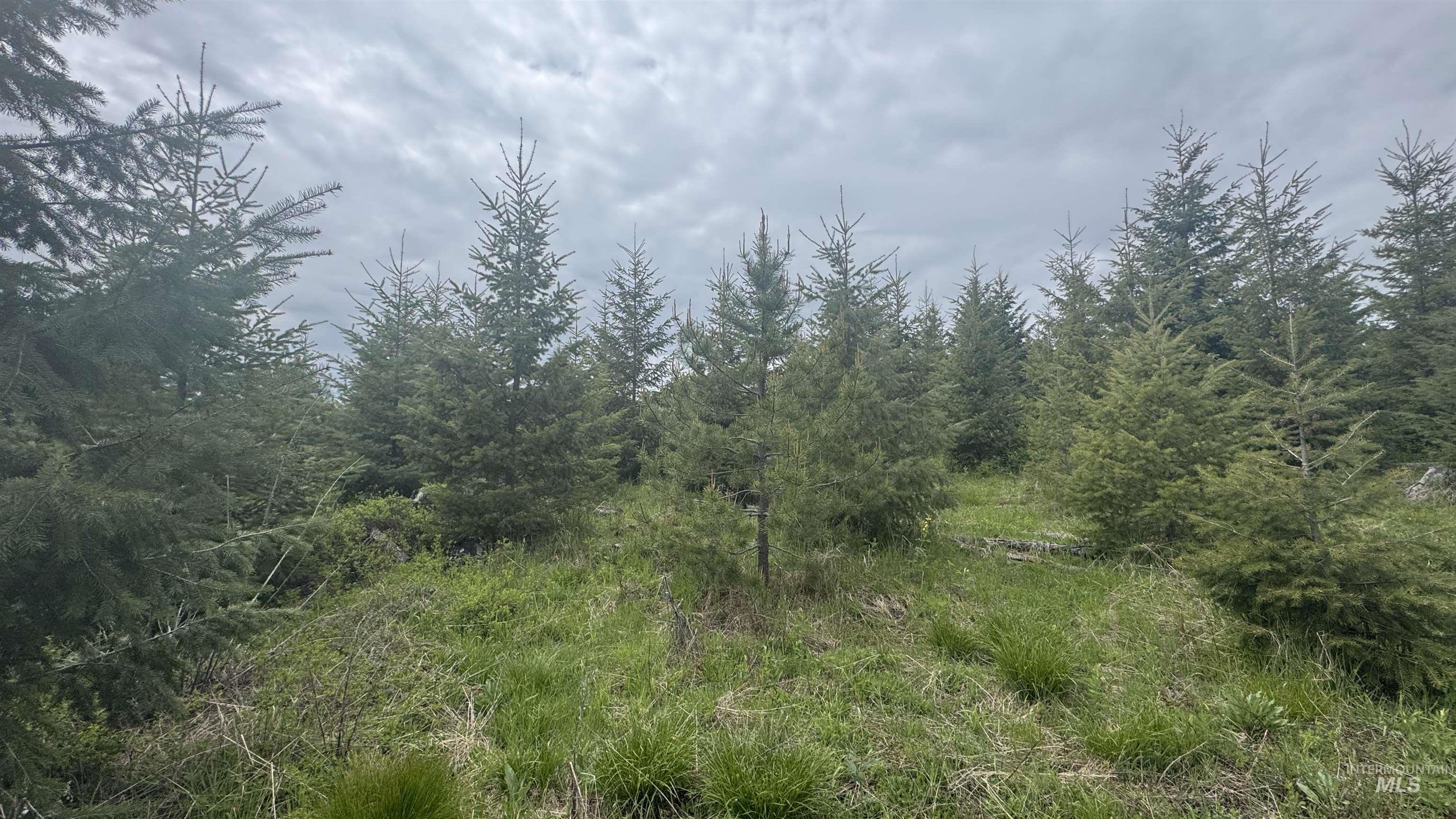 TBD Parcel 8 Bandmill Heights, Orofino, Idaho 83544, Land For Sale, Price $219,500, 98947706