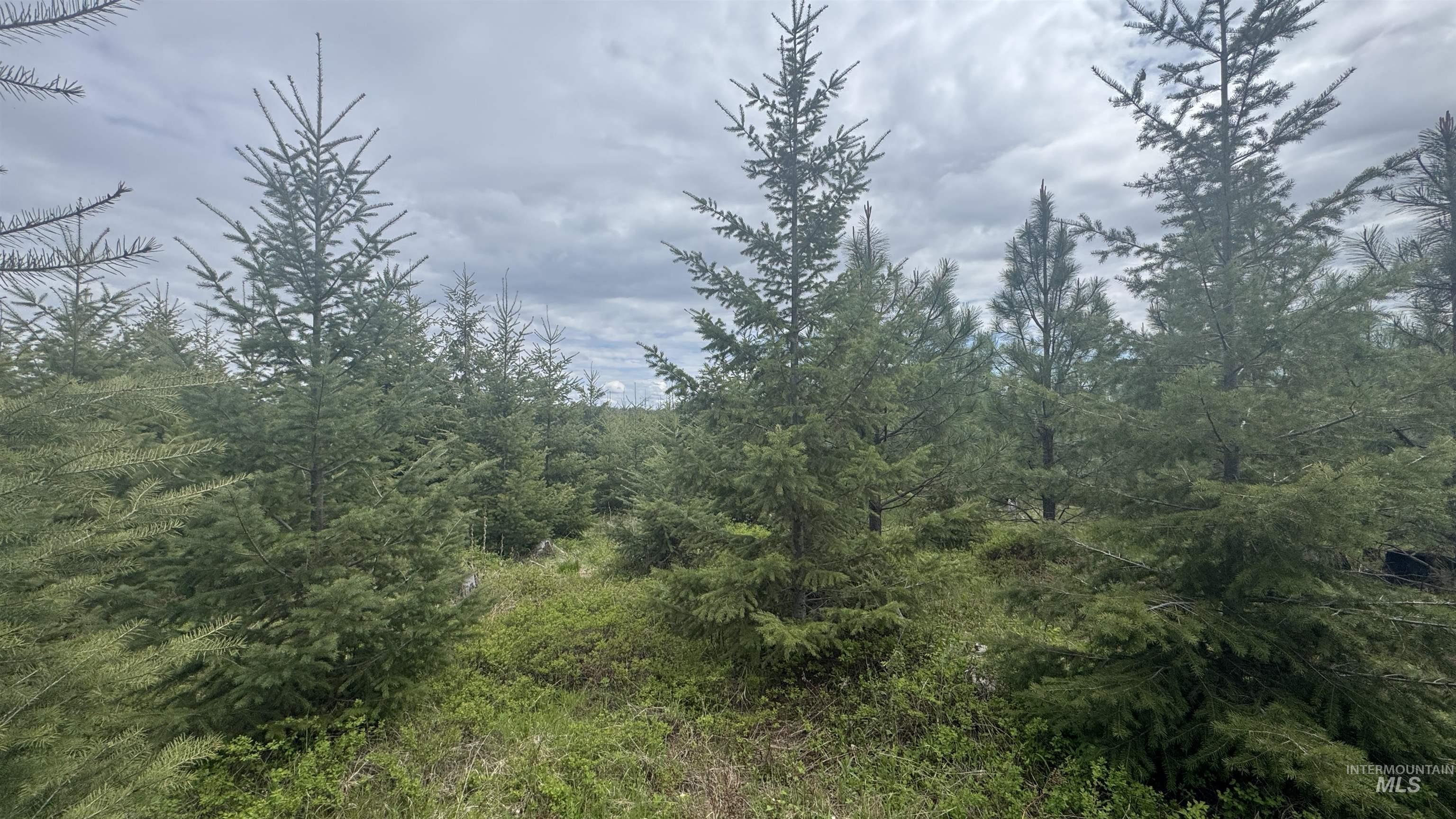 TBD Parcel 8 Bandmill Heights, Orofino, Idaho 83544, Land For Sale, Price $219,500, 98947706