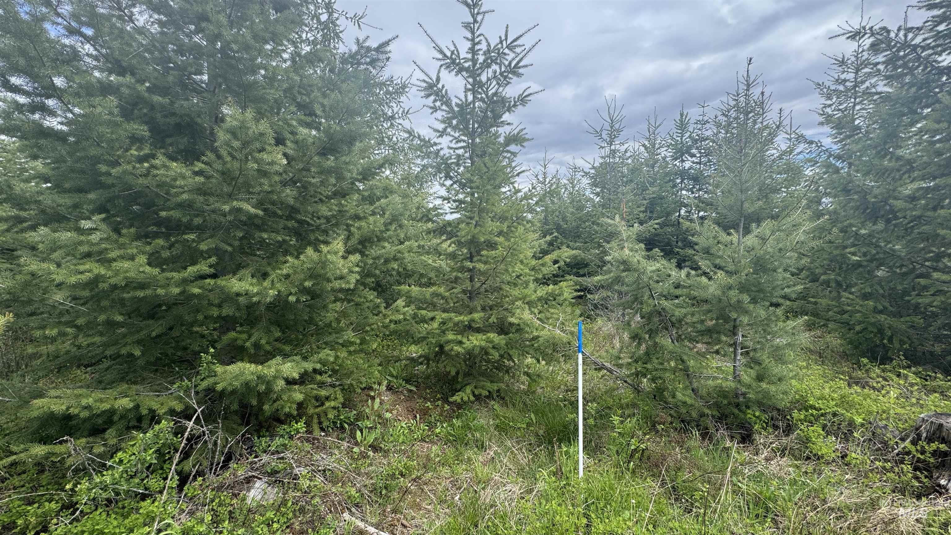 TBD Parcel 8 Bandmill Heights, Orofino, Idaho 83544, Land For Sale, Price $219,500, 98947706